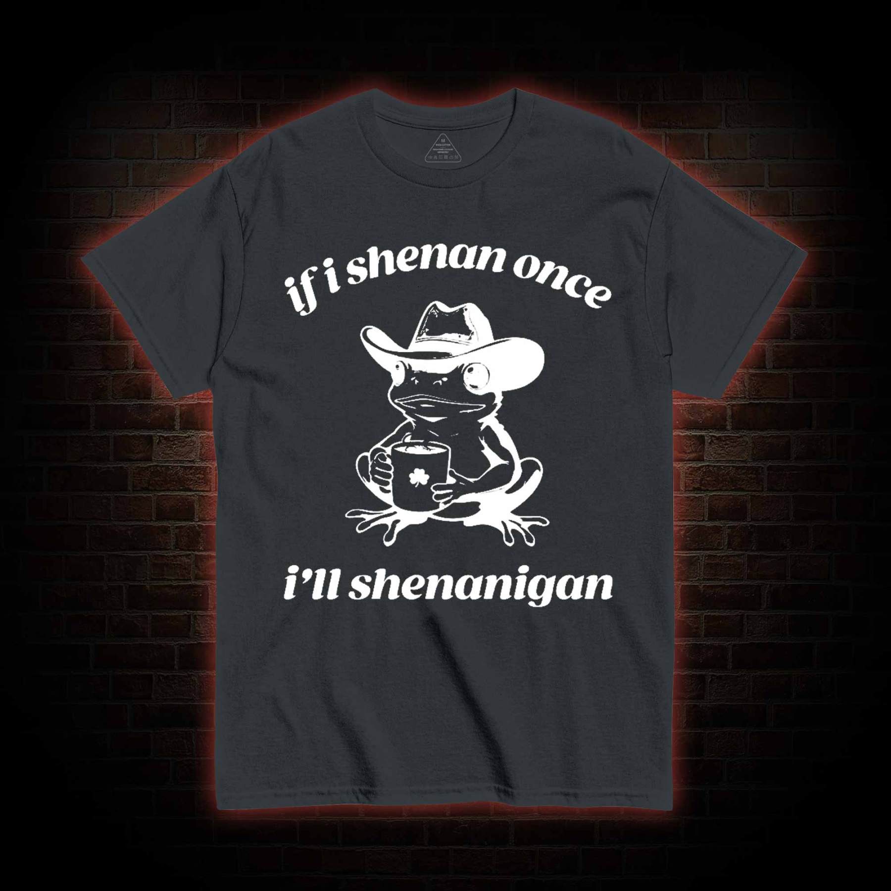 If I Shenan Once I'll Shenanigan T-shirt