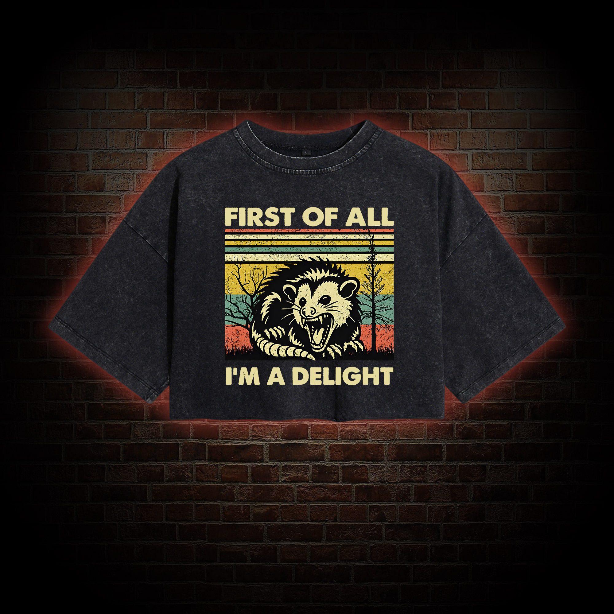 I'm A Delight Washed Cropped T-shirts