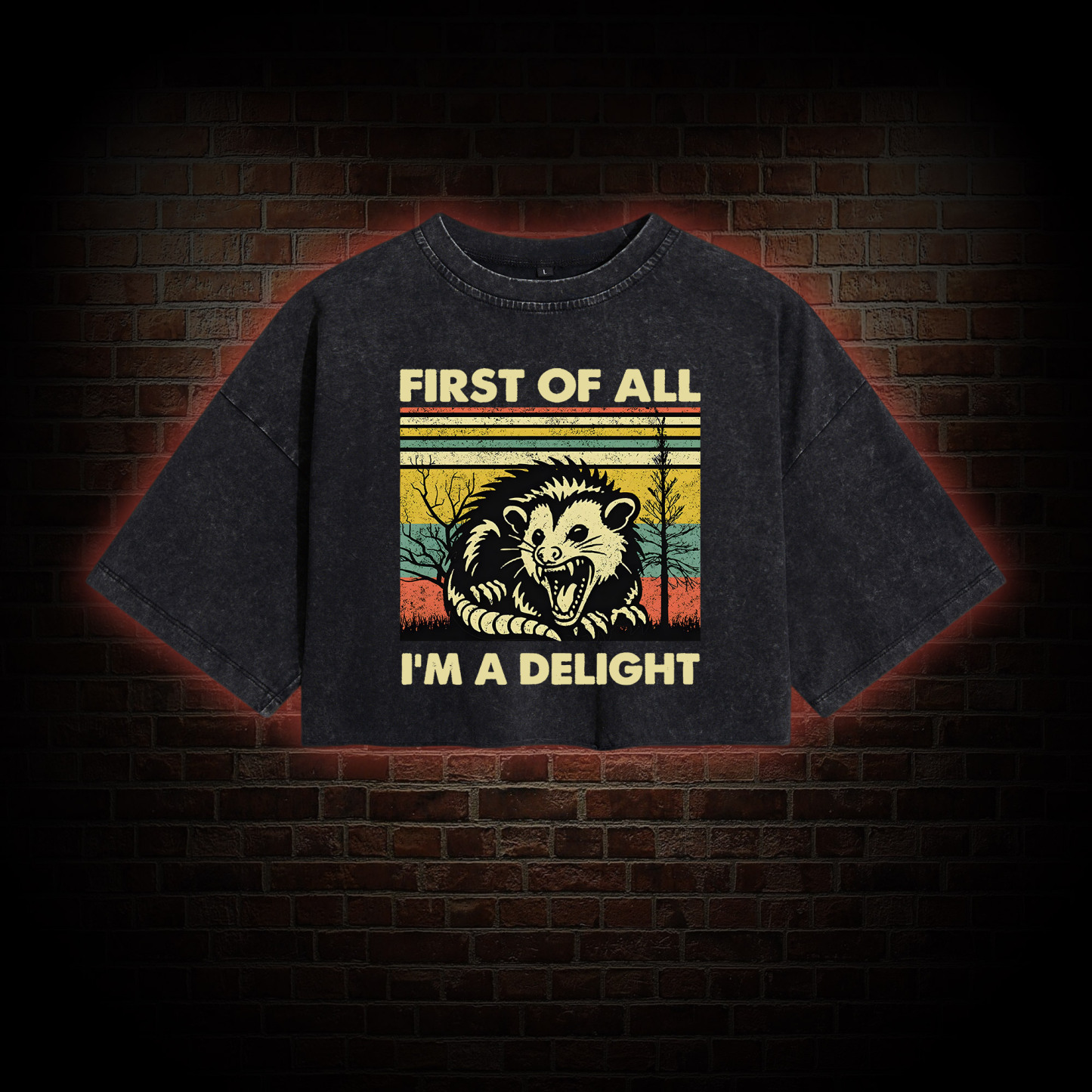 I'm A Delight Washed Cropped T-shirts
