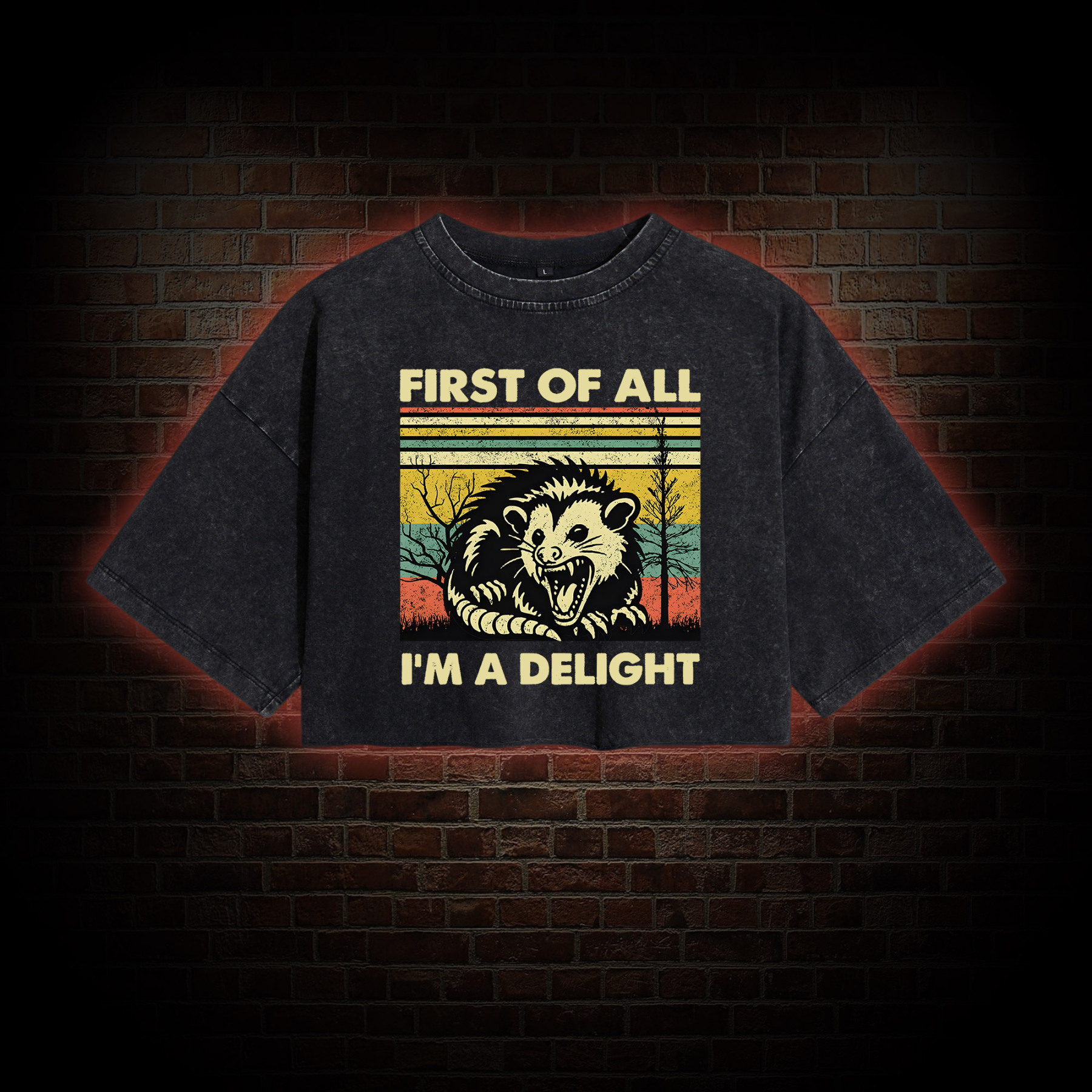 I'm A Delight Washed Cropped T-shirts
