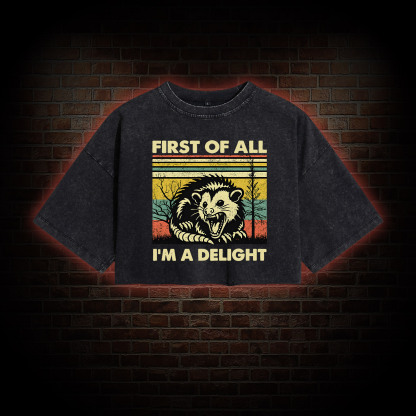 I'm A Delight Washed Cropped T-shirts