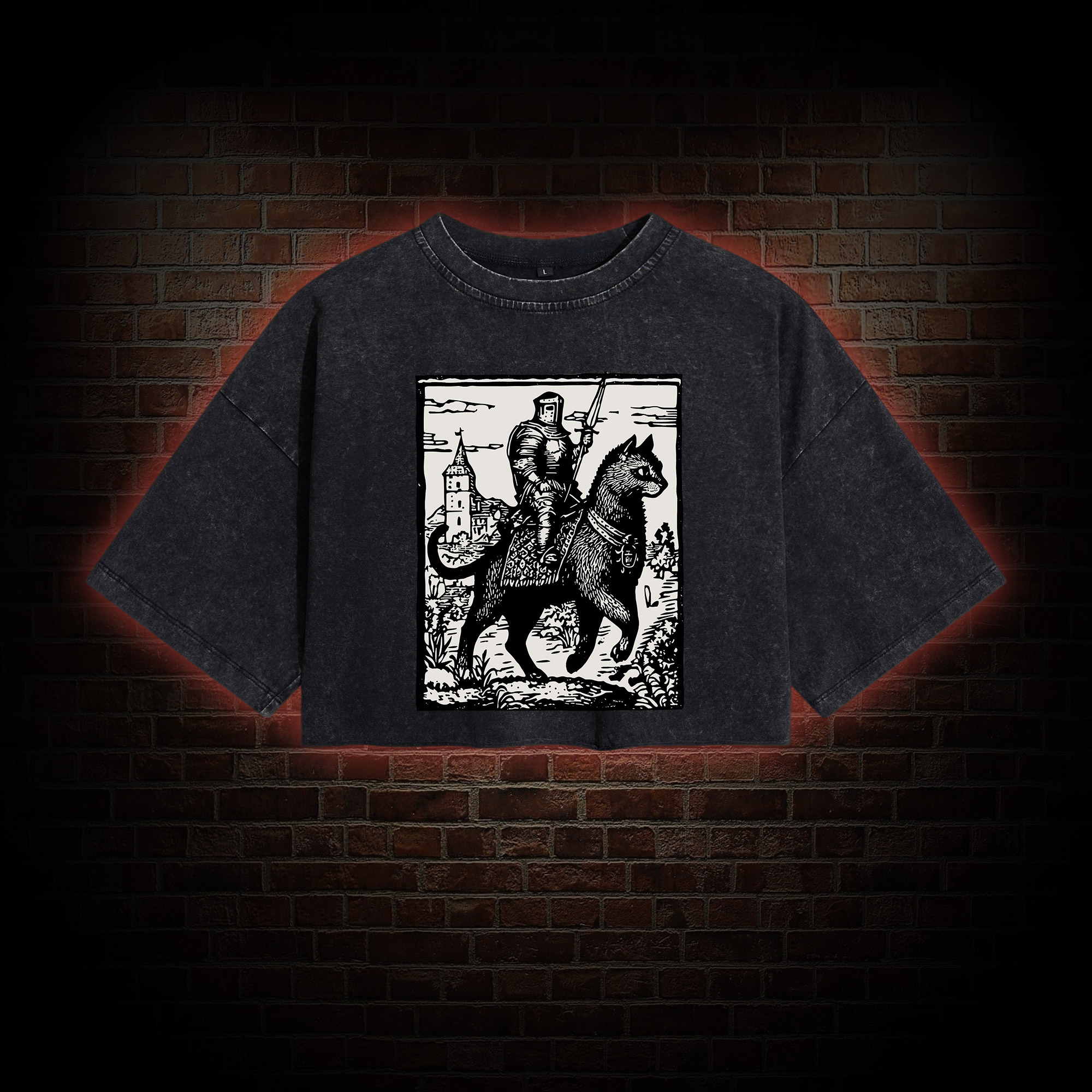 Knight Cat Rider Washed Cropped T-shirts