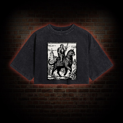 Knight Cat Rider Washed Cropped T-shirts