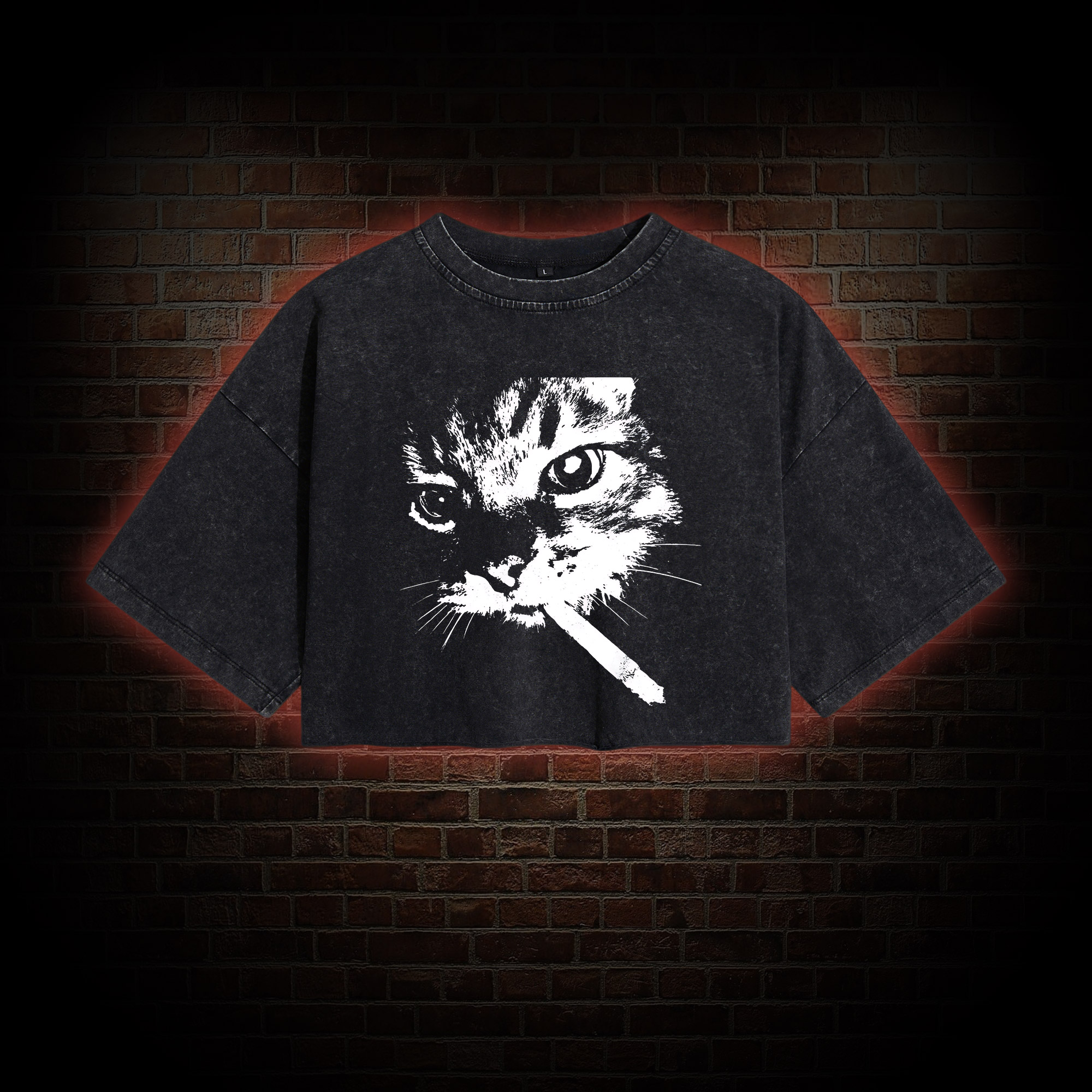 Funny Cat Meme Washed Cropped T-shirts