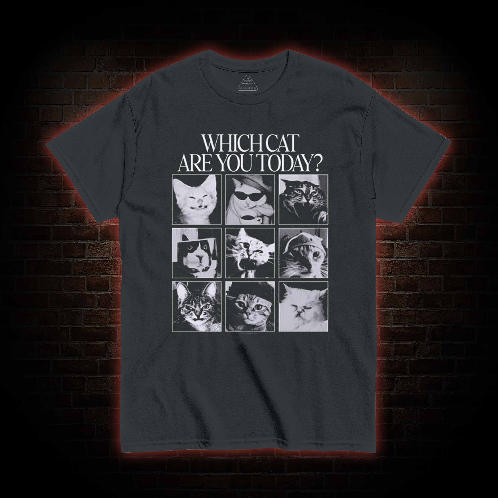 Which Cat are You Today T-shirt