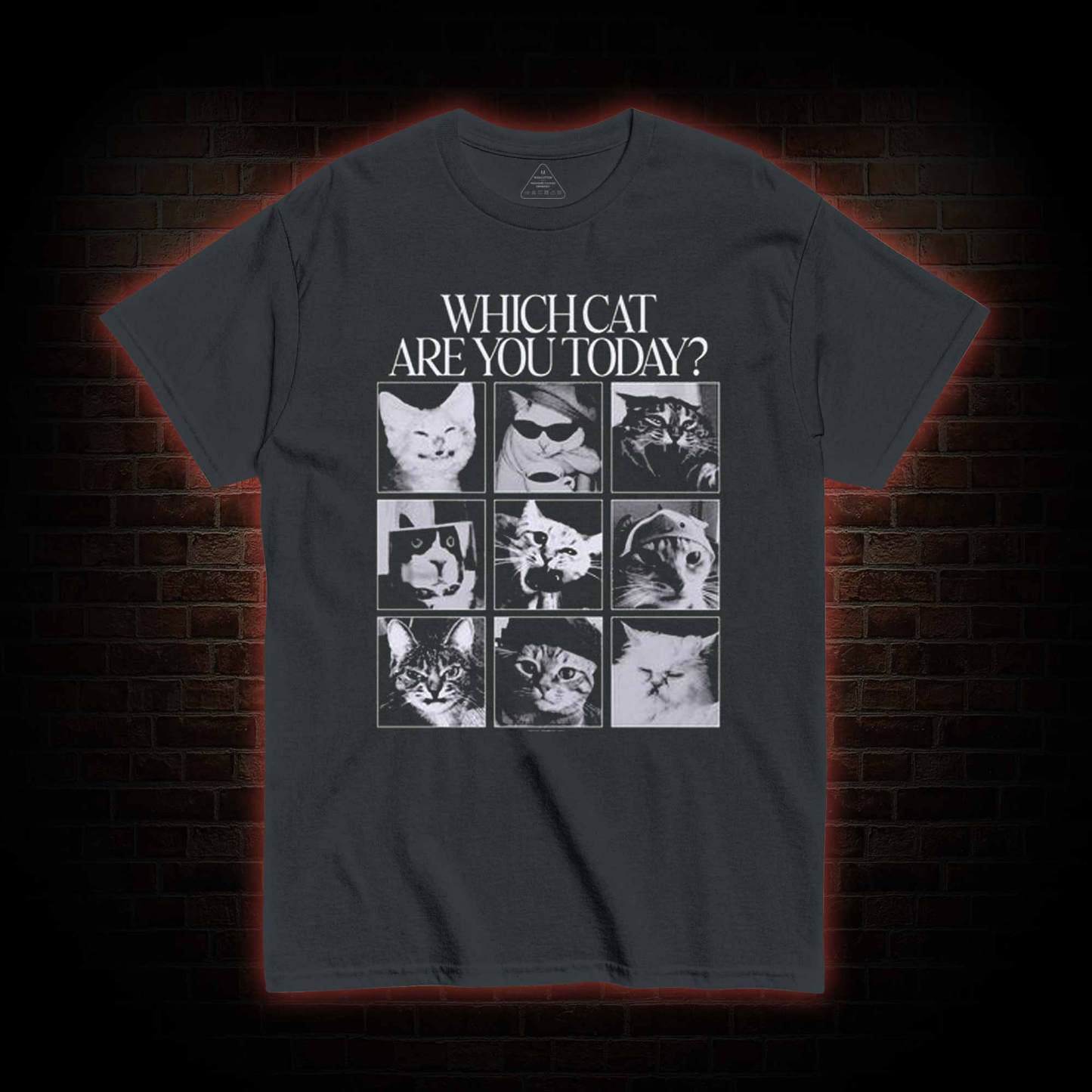 Which Cat are You Today T-shirt