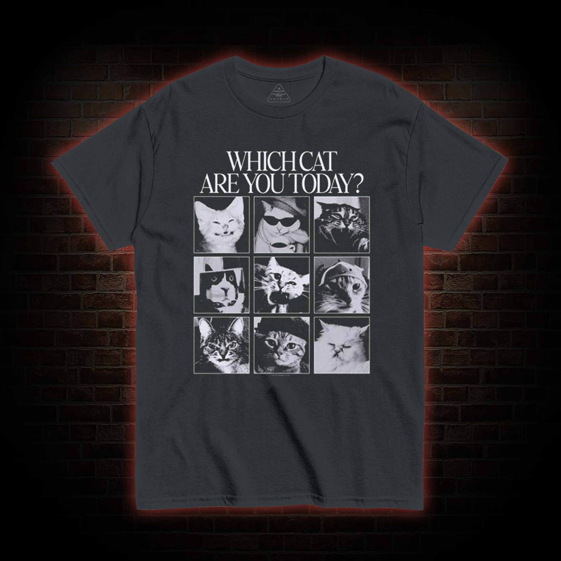 Which Cat are You Today T-shirt