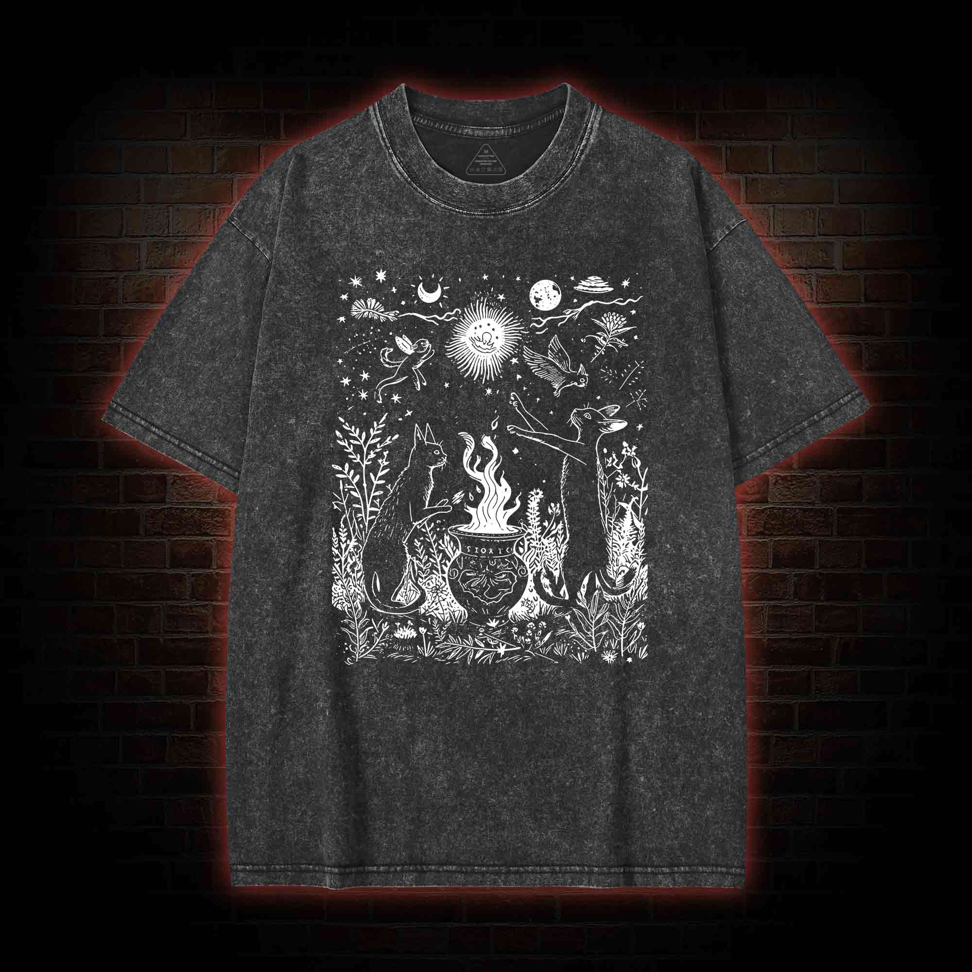 Celestial Cat Washed T-shirt