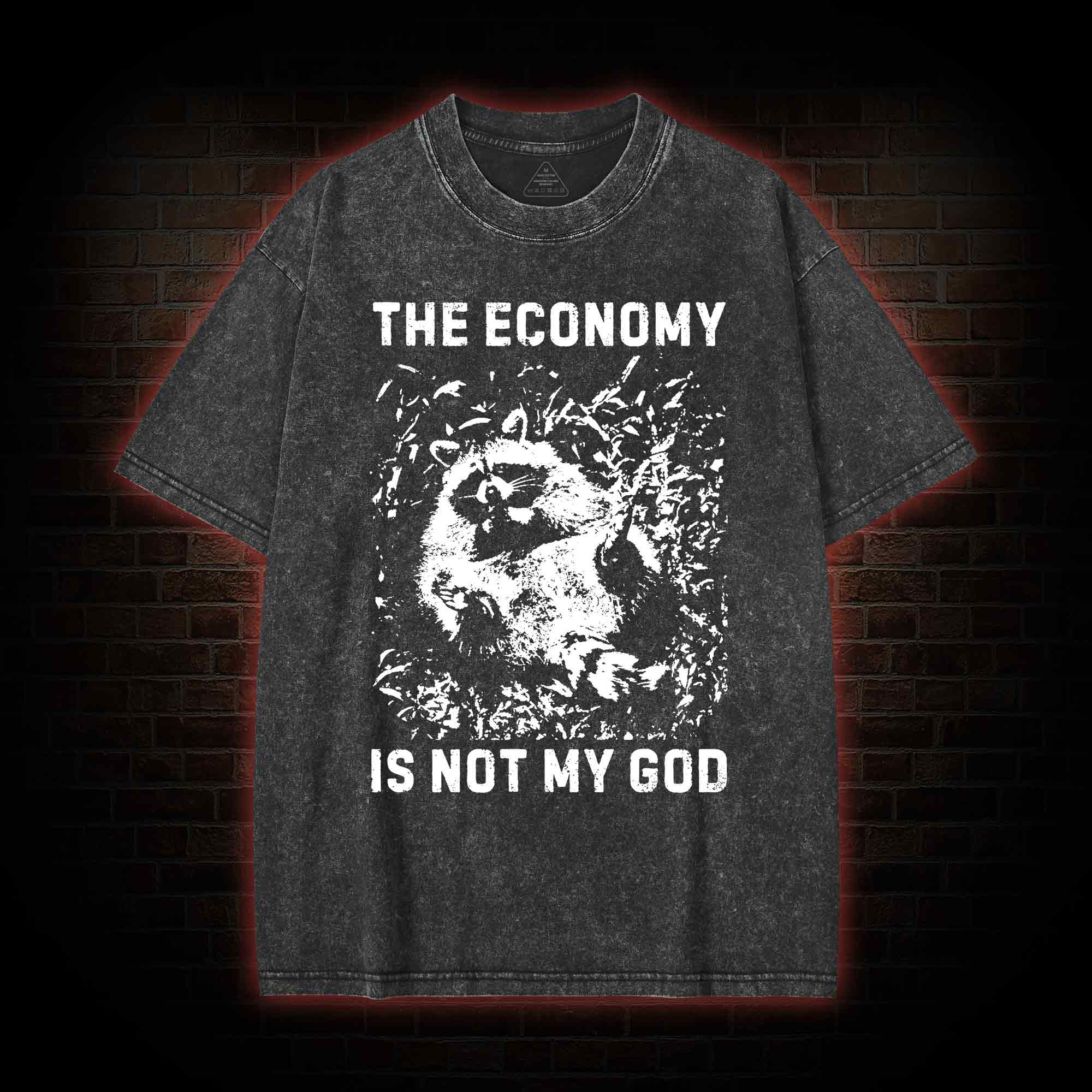 Anarchist Raccoon Economy is Not My God Washed T-shirt