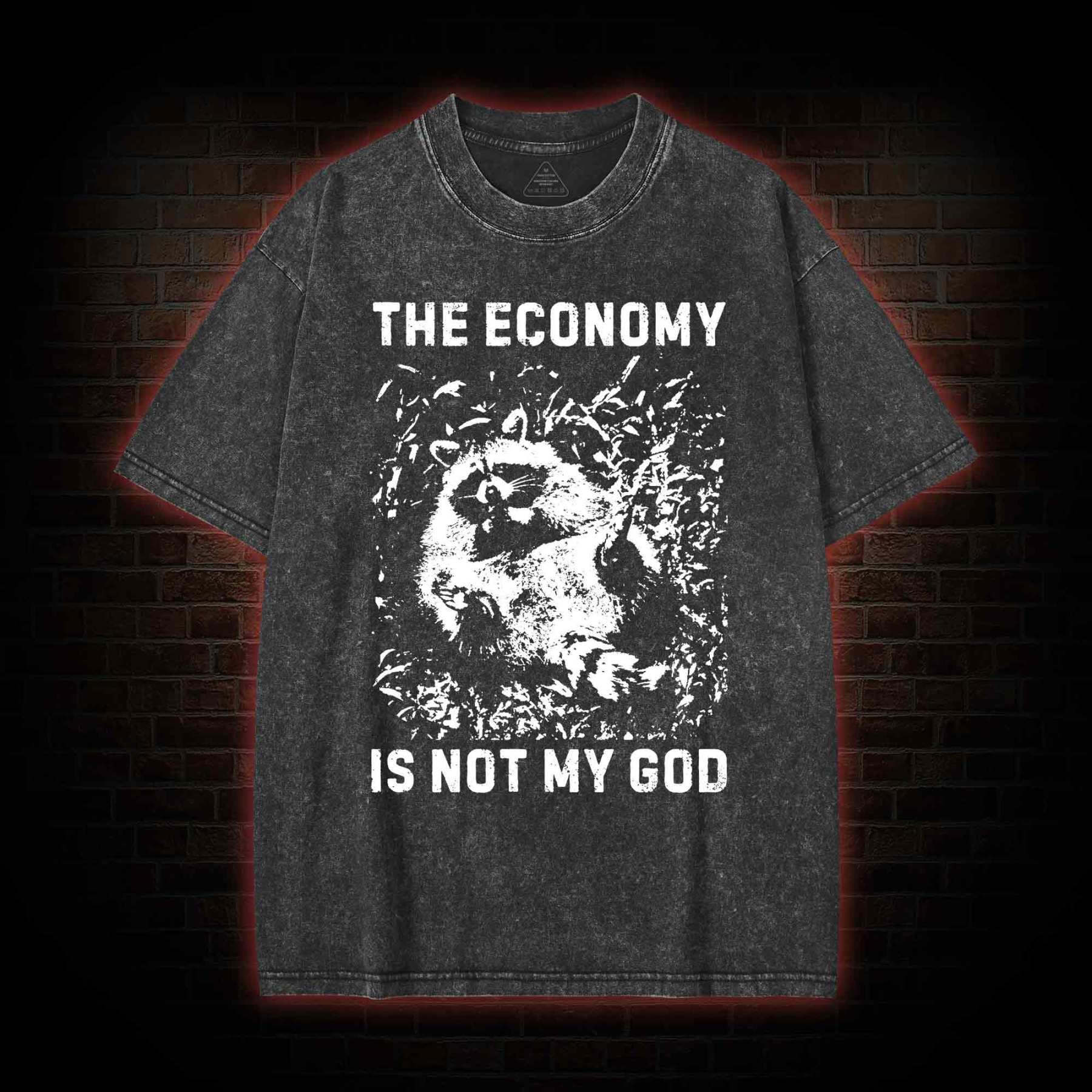 Anarchist Raccoon Economy is Not My God Washed T-shirt