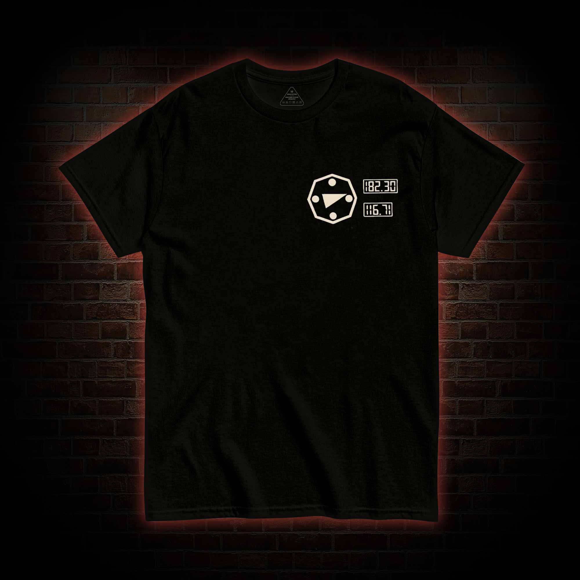 I will Gain My Freedom T-shirt