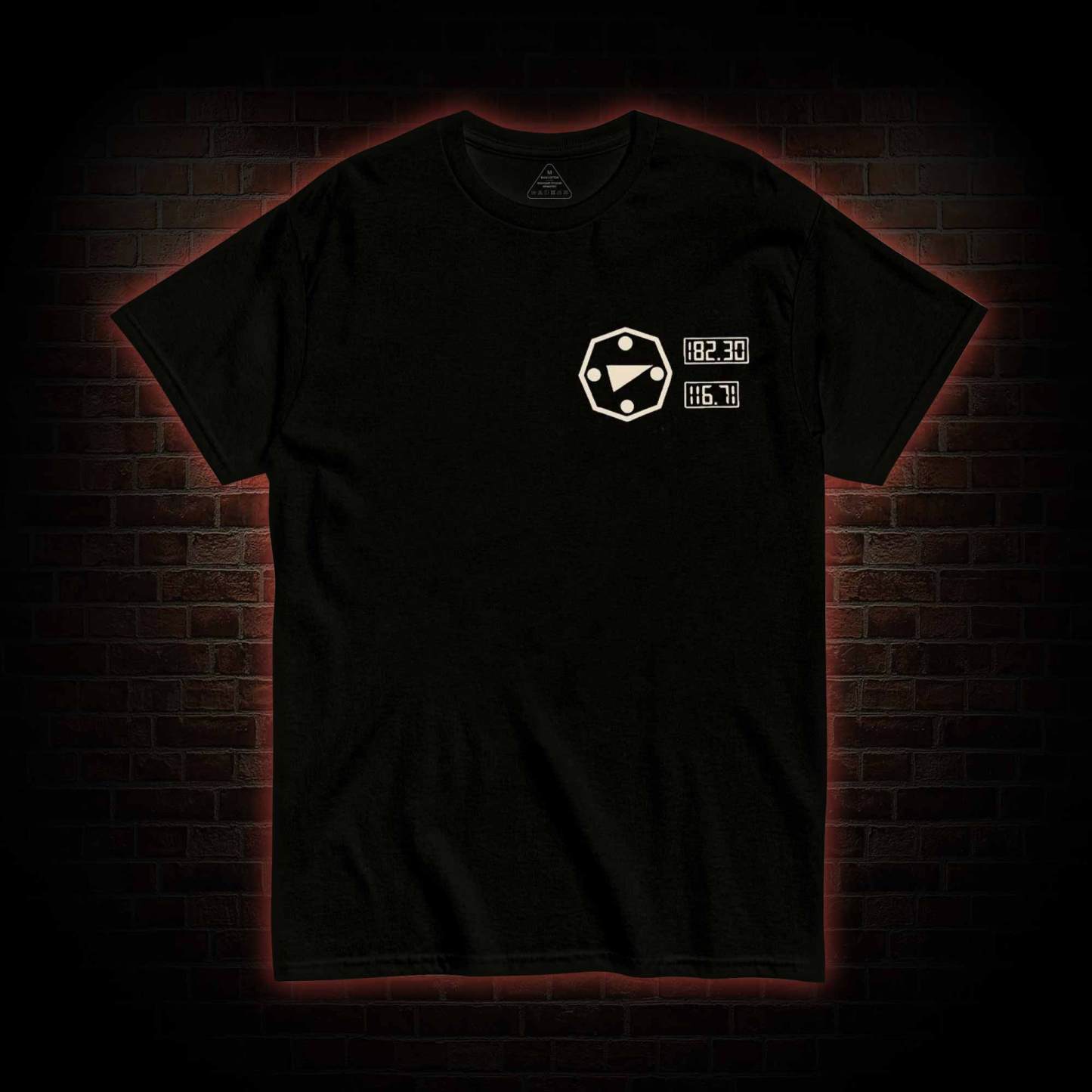 I will Gain My Freedom T-shirt