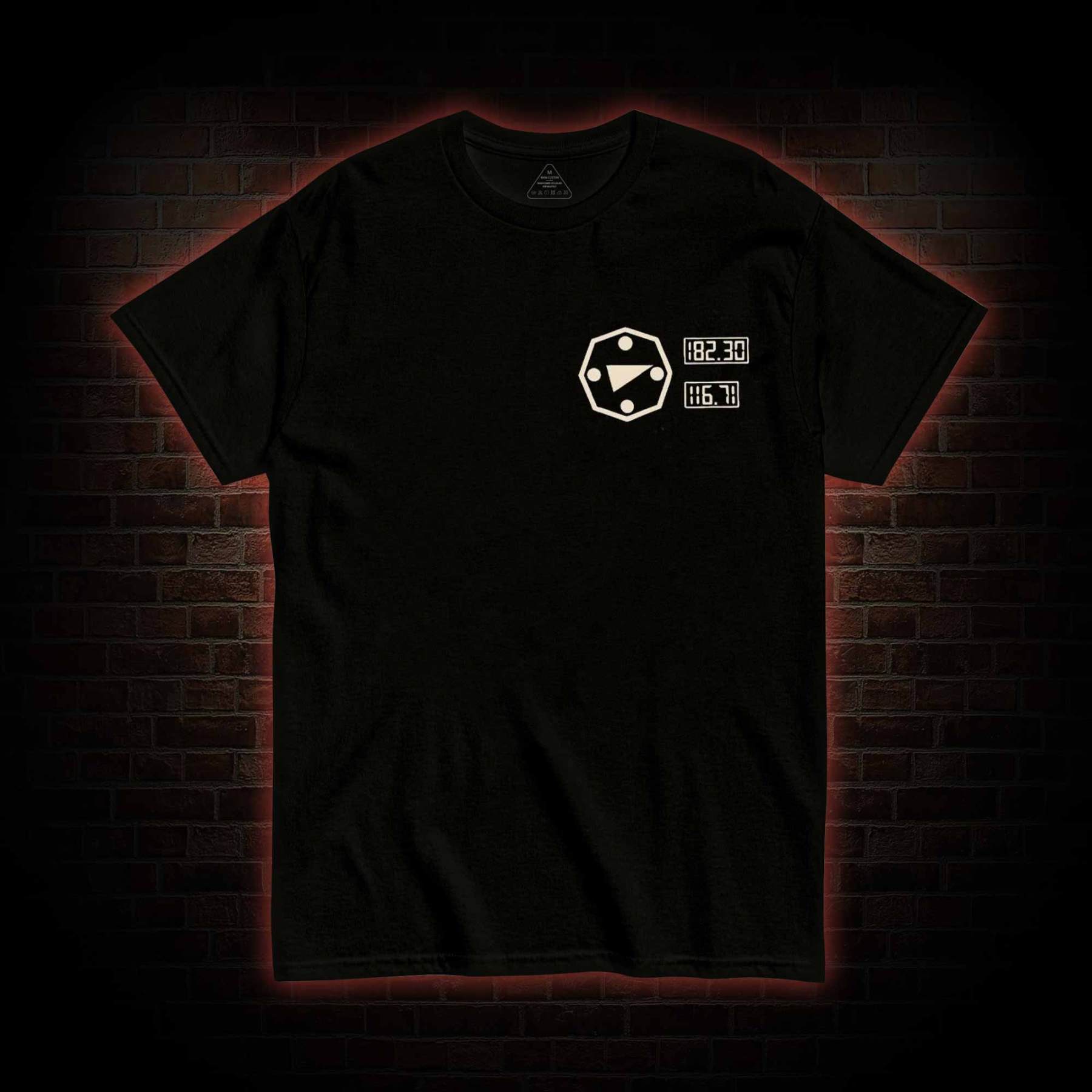 I will Gain My Freedom T-shirt