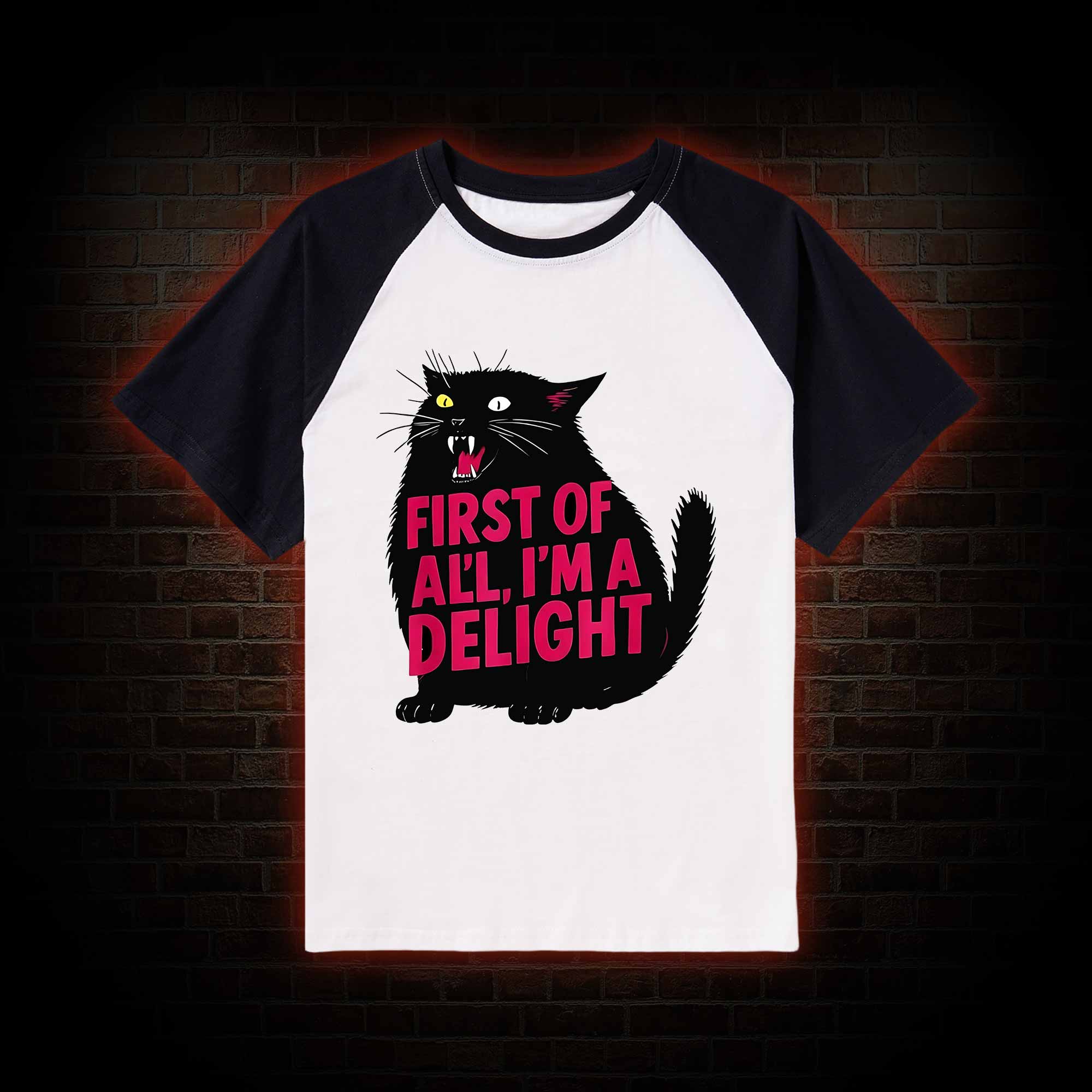 First of all I'm a Delight Raglan T-shirt