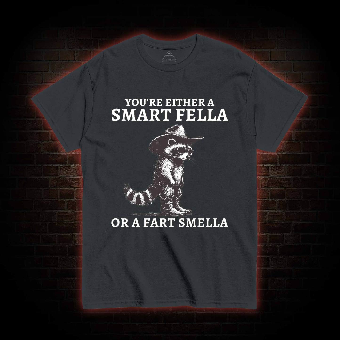 You're Either a Smart Fella or a  Fart Smella T-shirt