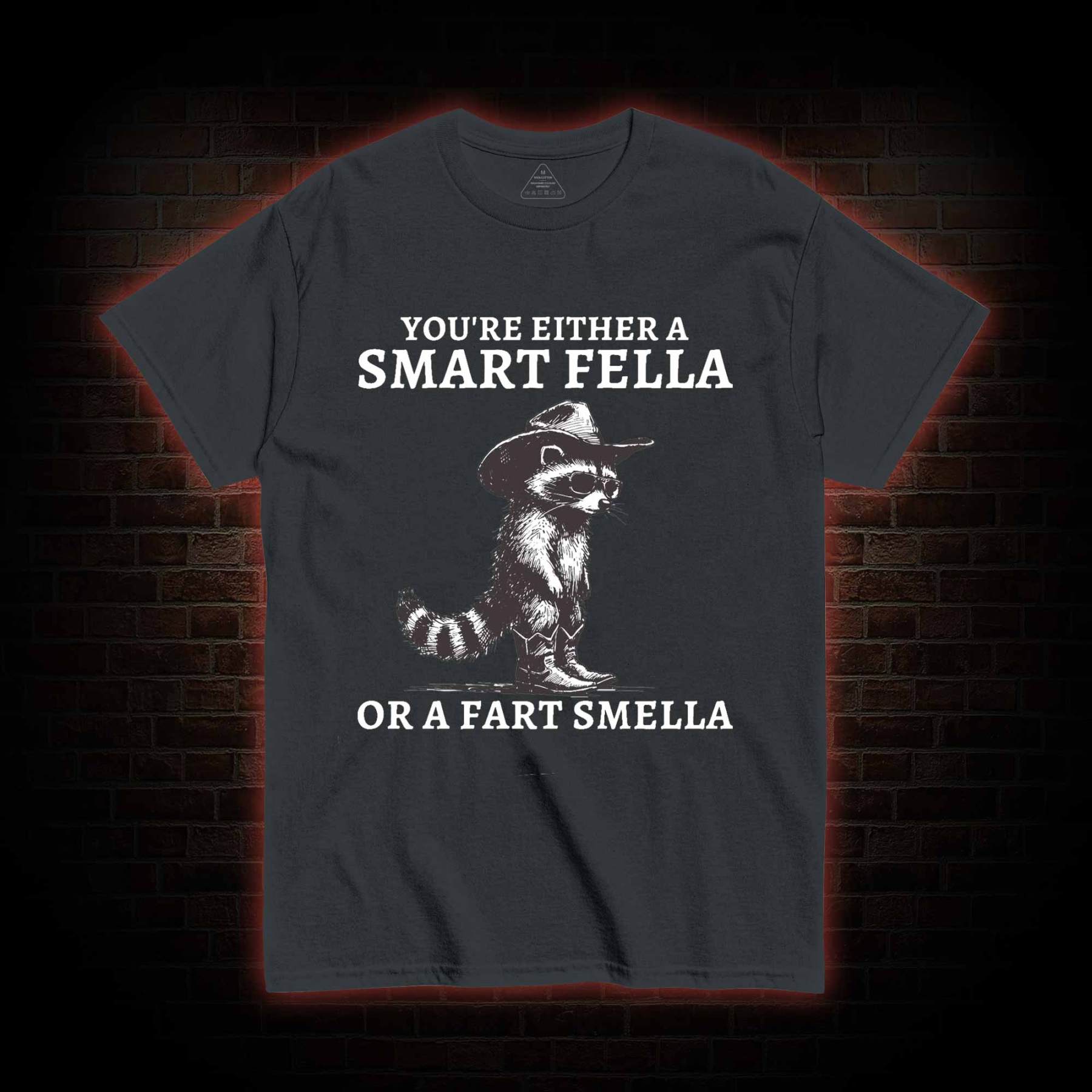 You're Either a Smart Fella or a  Fart Smella T-shirt