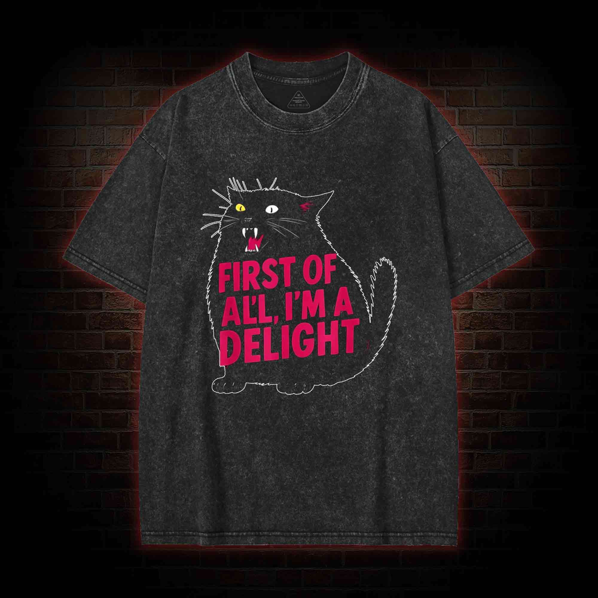 First of all I’m a Delight Washed T-shirt