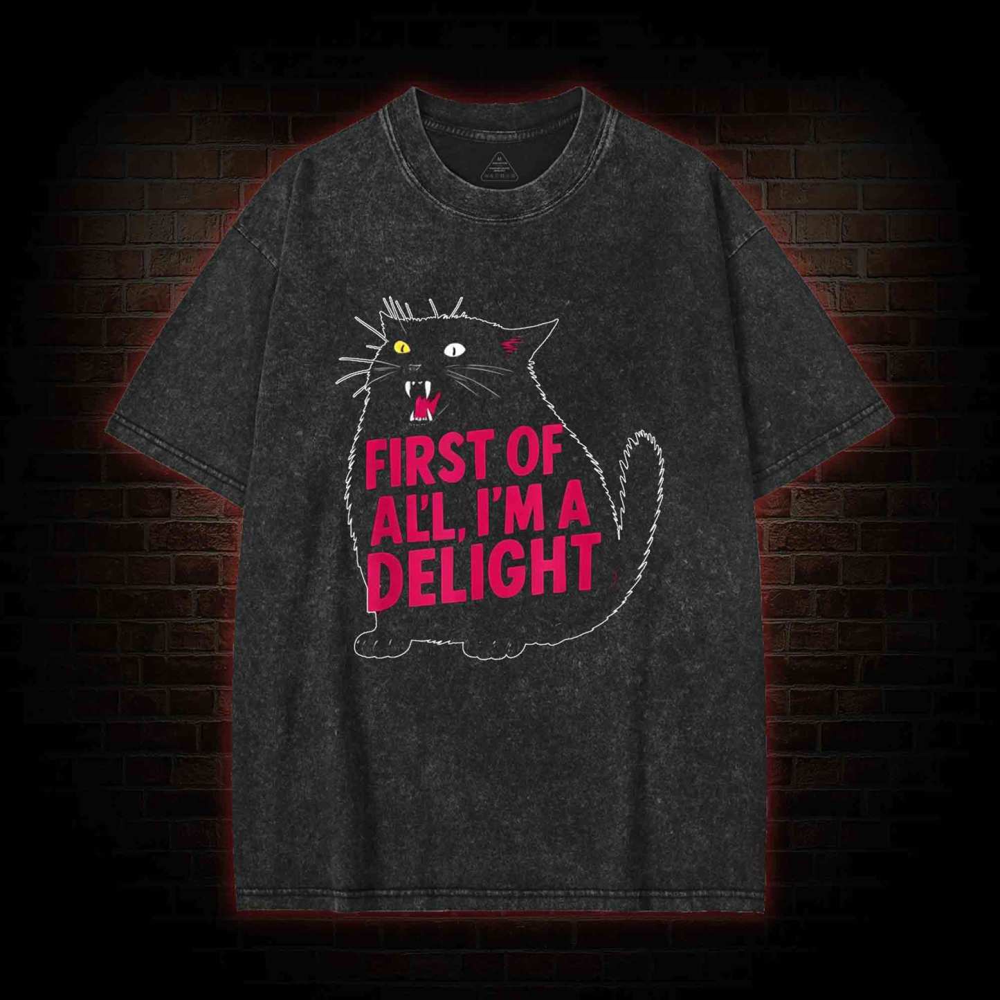 First of all I'm a Delight Washed T-shirt