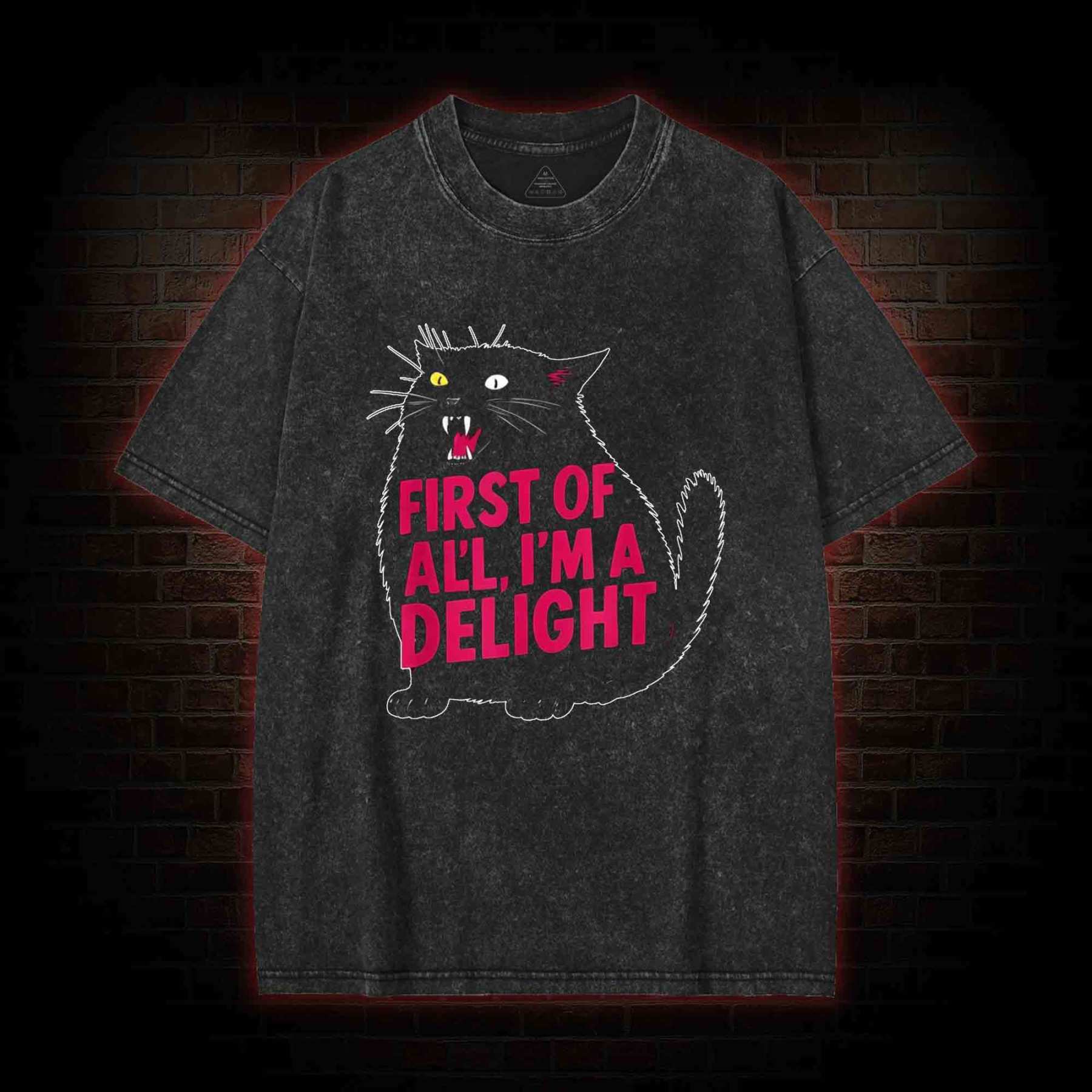 First of all I'm a Delight Washed T-shirt