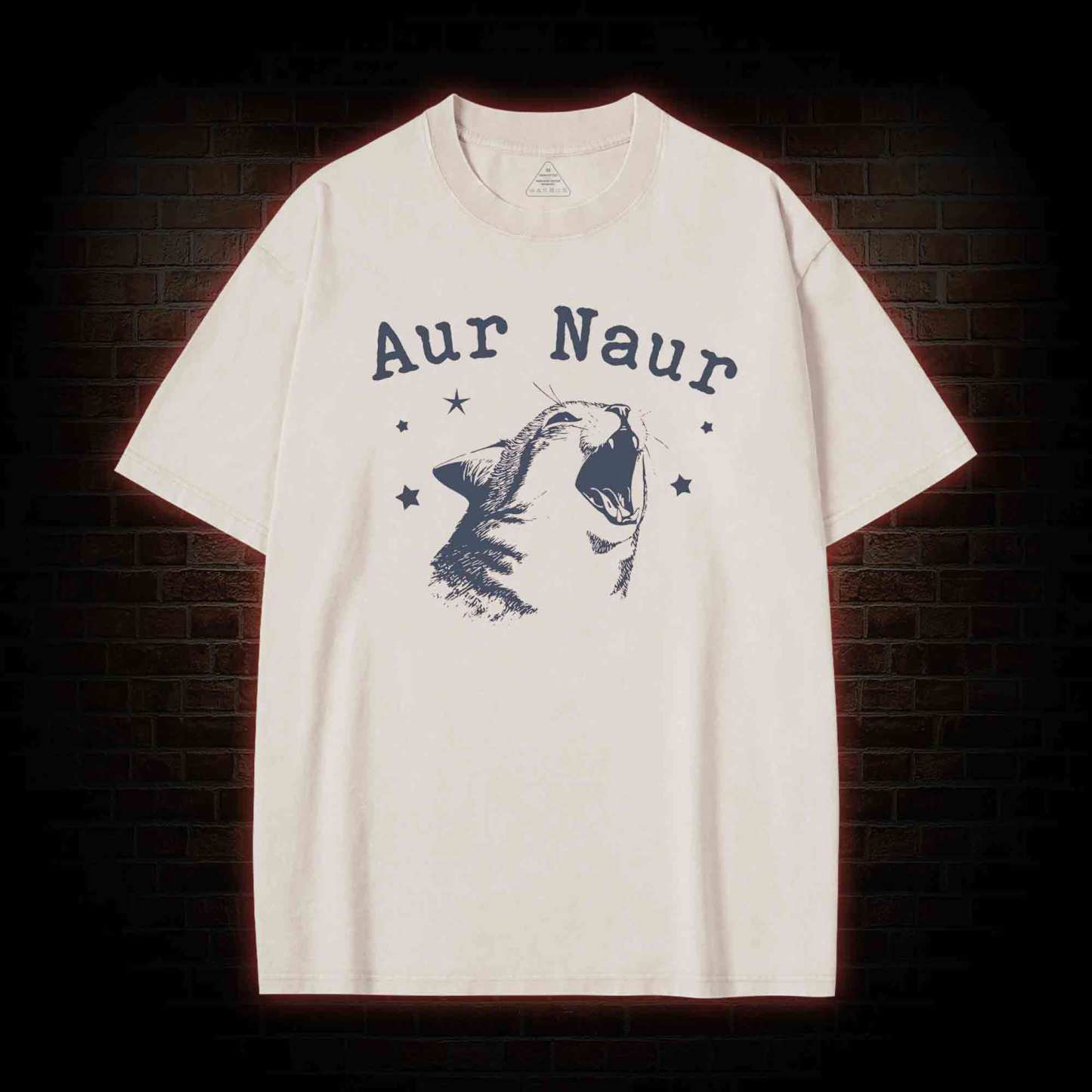 Aur Naur Cat Washed T-shirt
