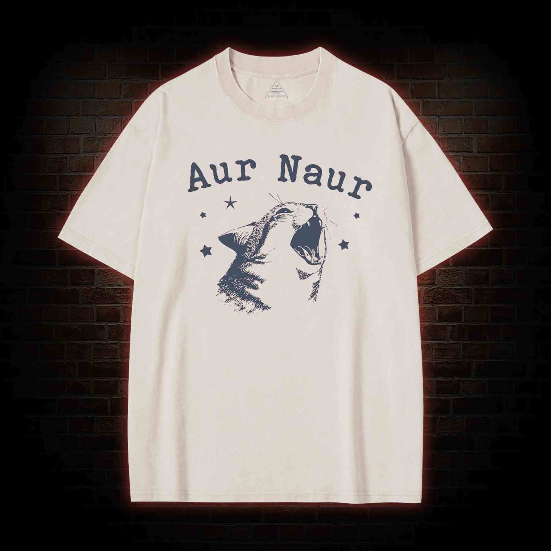 Aur Naur Cat Washed T-shirt