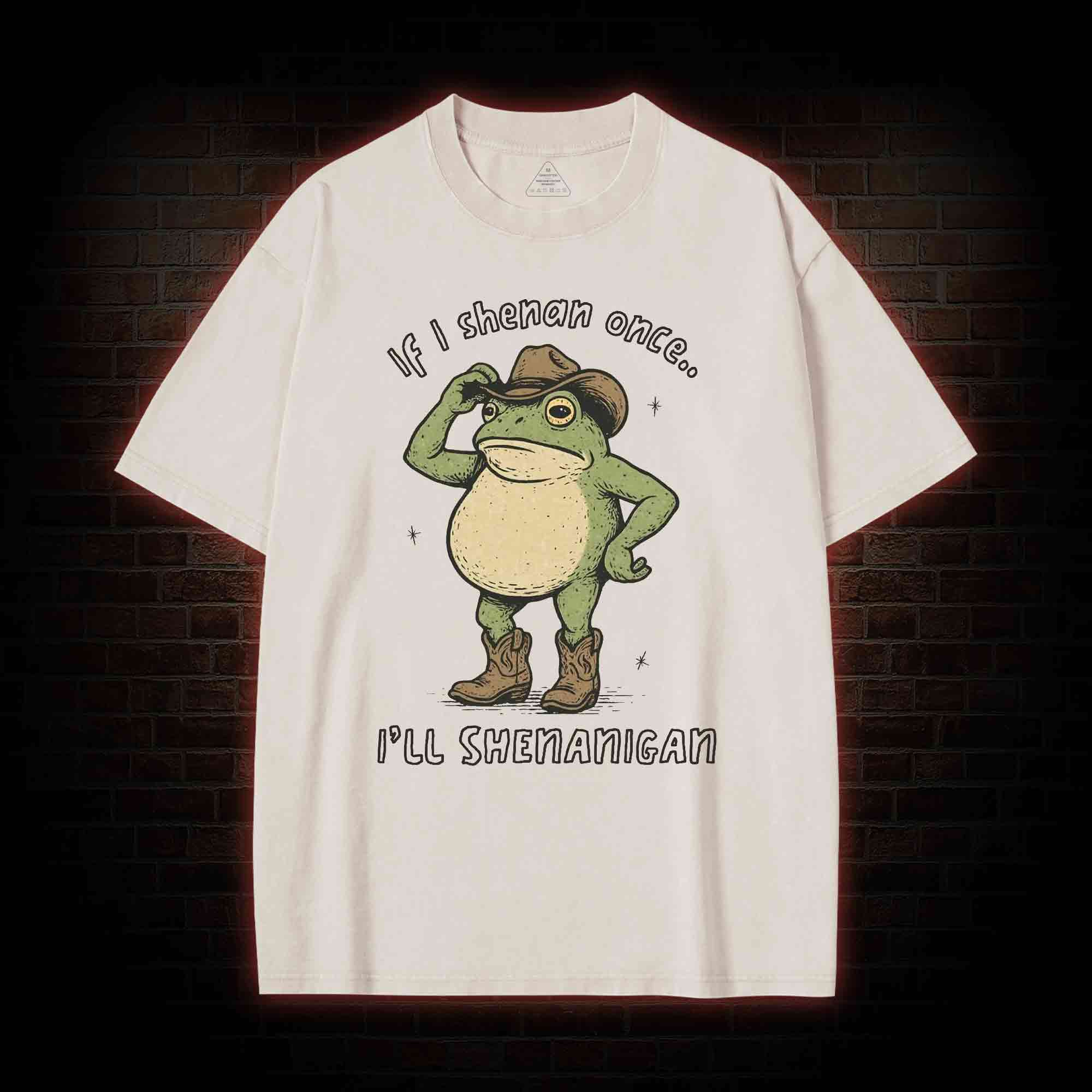 If I Shenan once... I'll Shenanigan Washed T-shirt