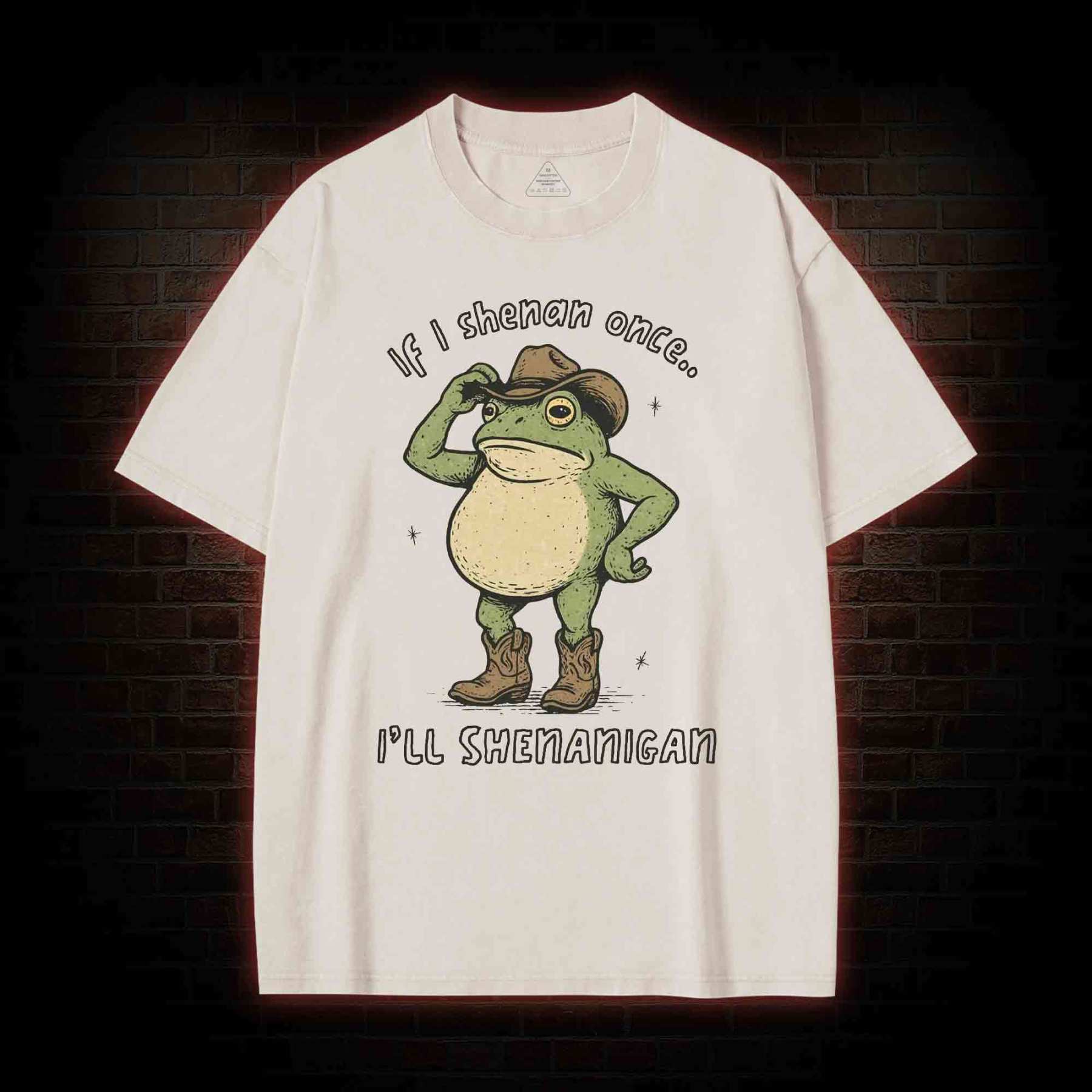 If I Shenan once... I'll Shenanigan Washed T-shirt