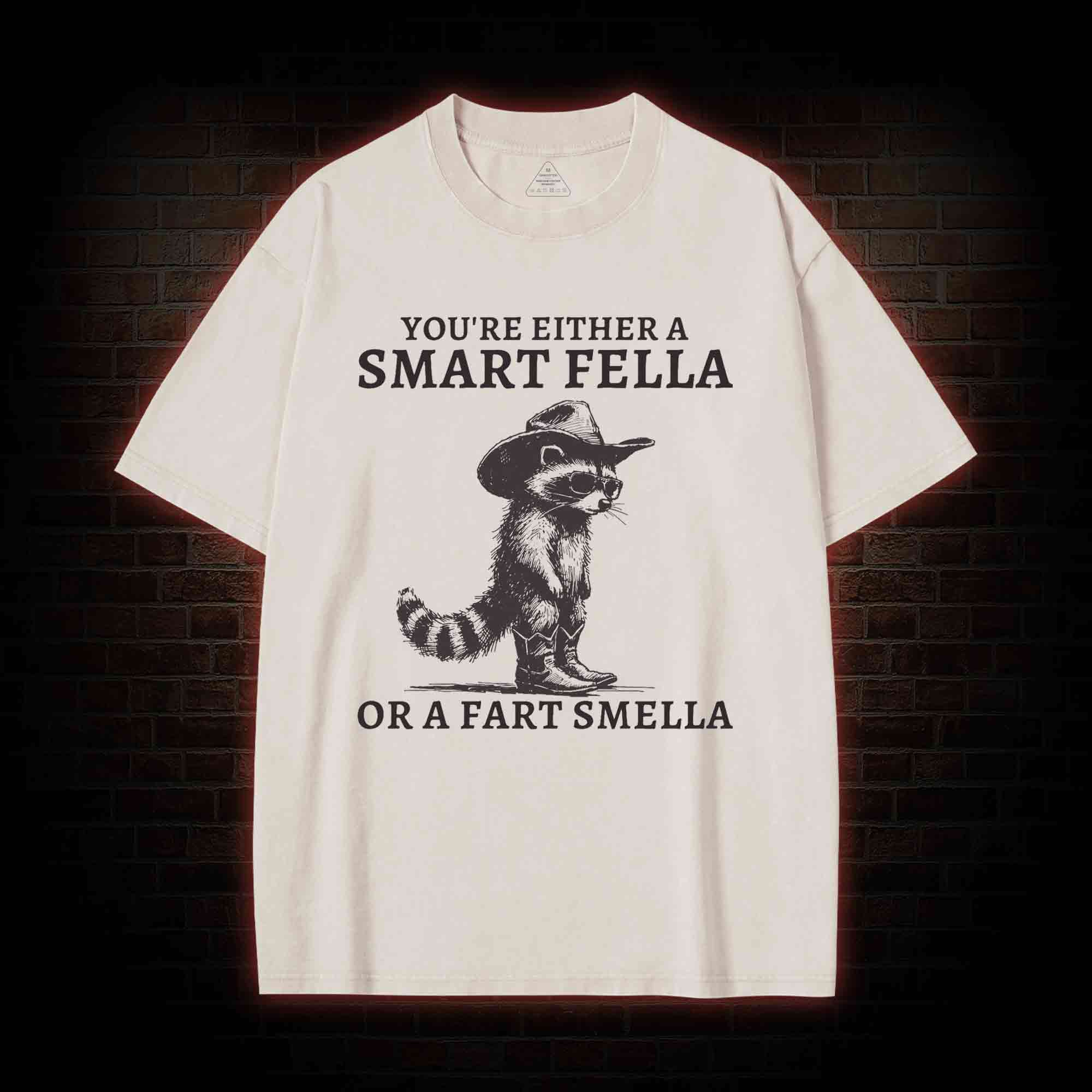 You're Either a Smart Fella or a  Fart Smella Washed T-shirt