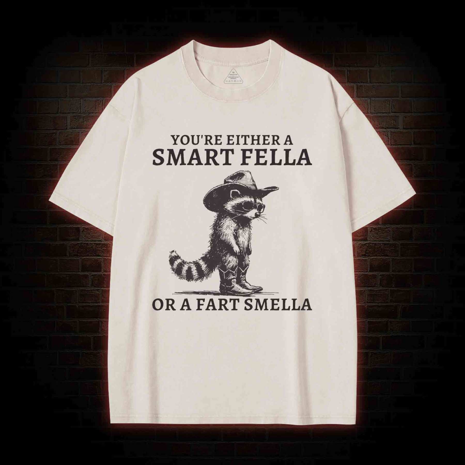 You're Either a Smart Fella or a  Fart Smella Washed T-shirt