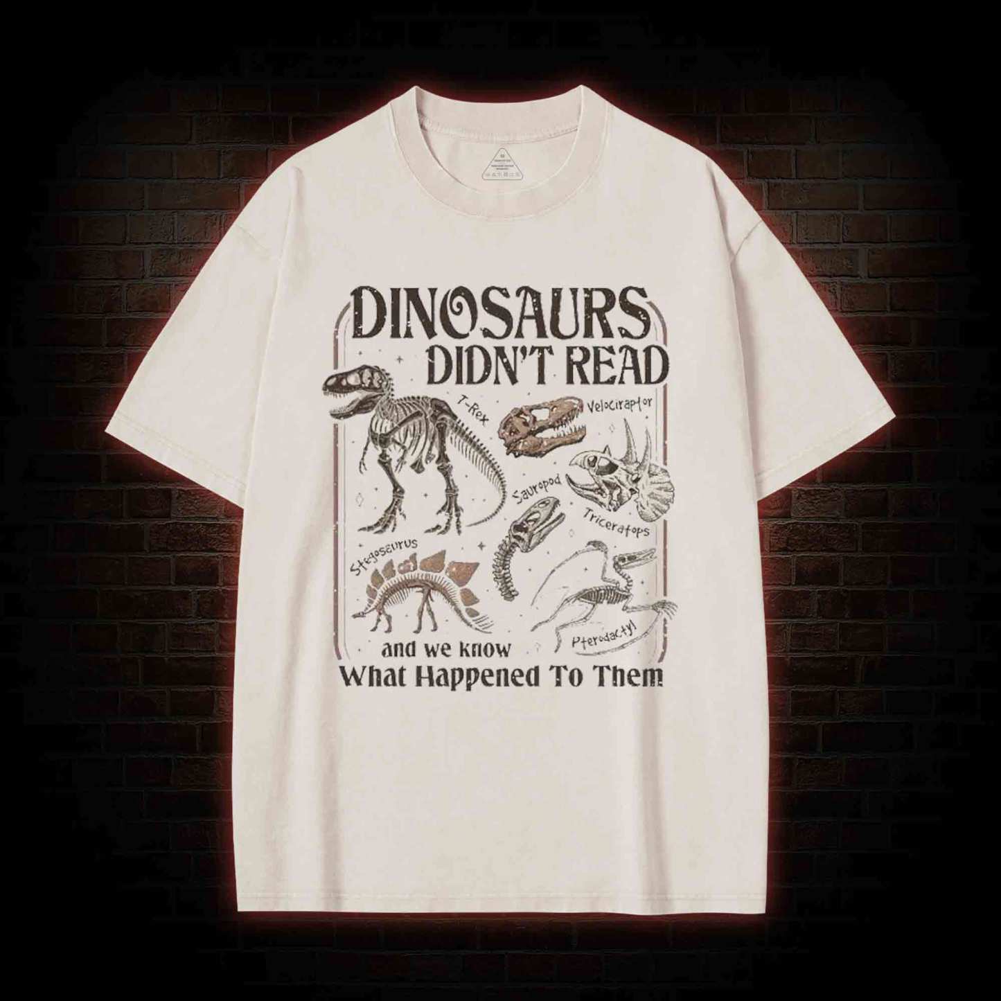 Dinosaurs Didn't Read Washed T-shirt