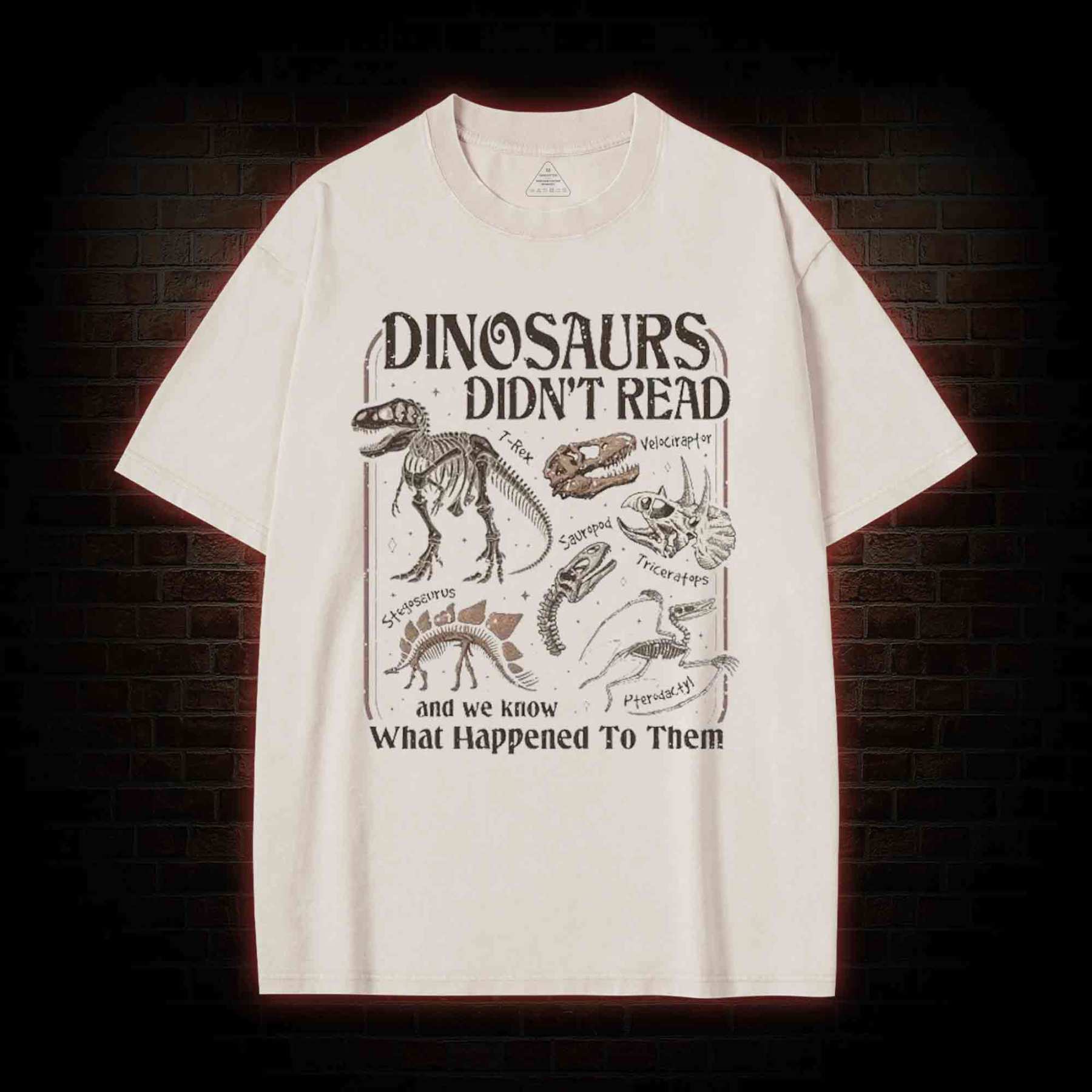 Dinosaurs Didn't Read Washed T-shirt