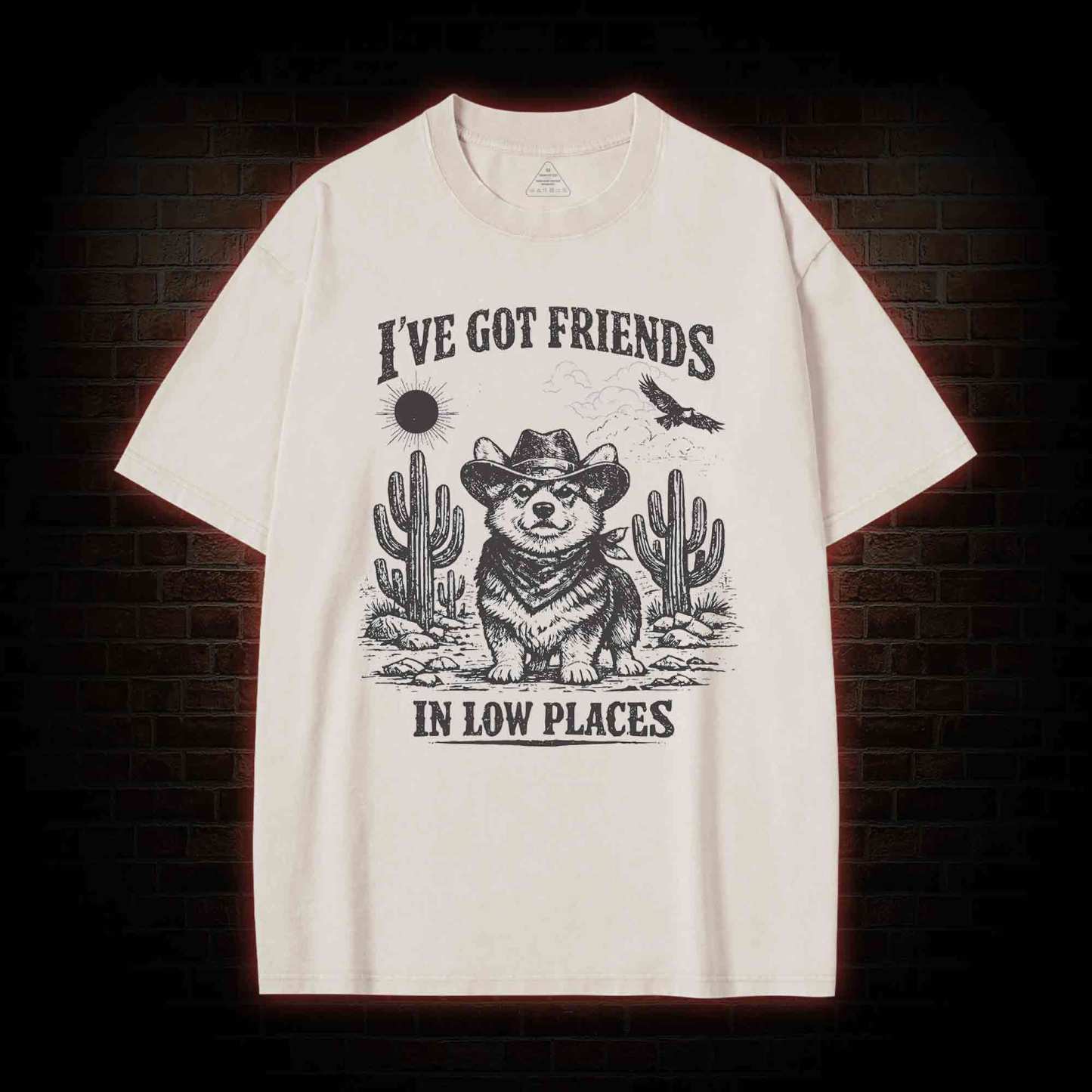 I've Got Friends in Low Places Washed T-shirt