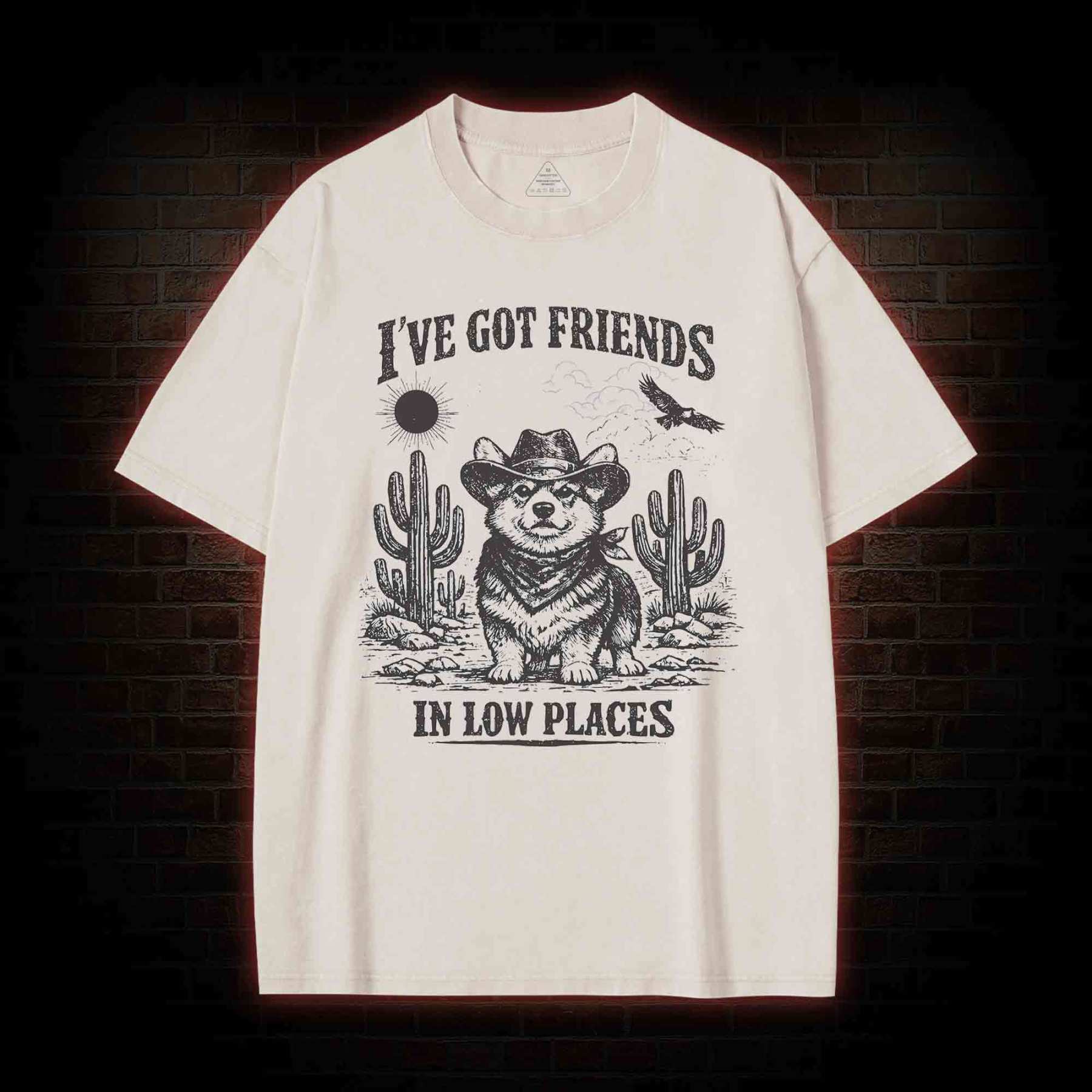 I've Got Friends in Low Places Washed T-shirt