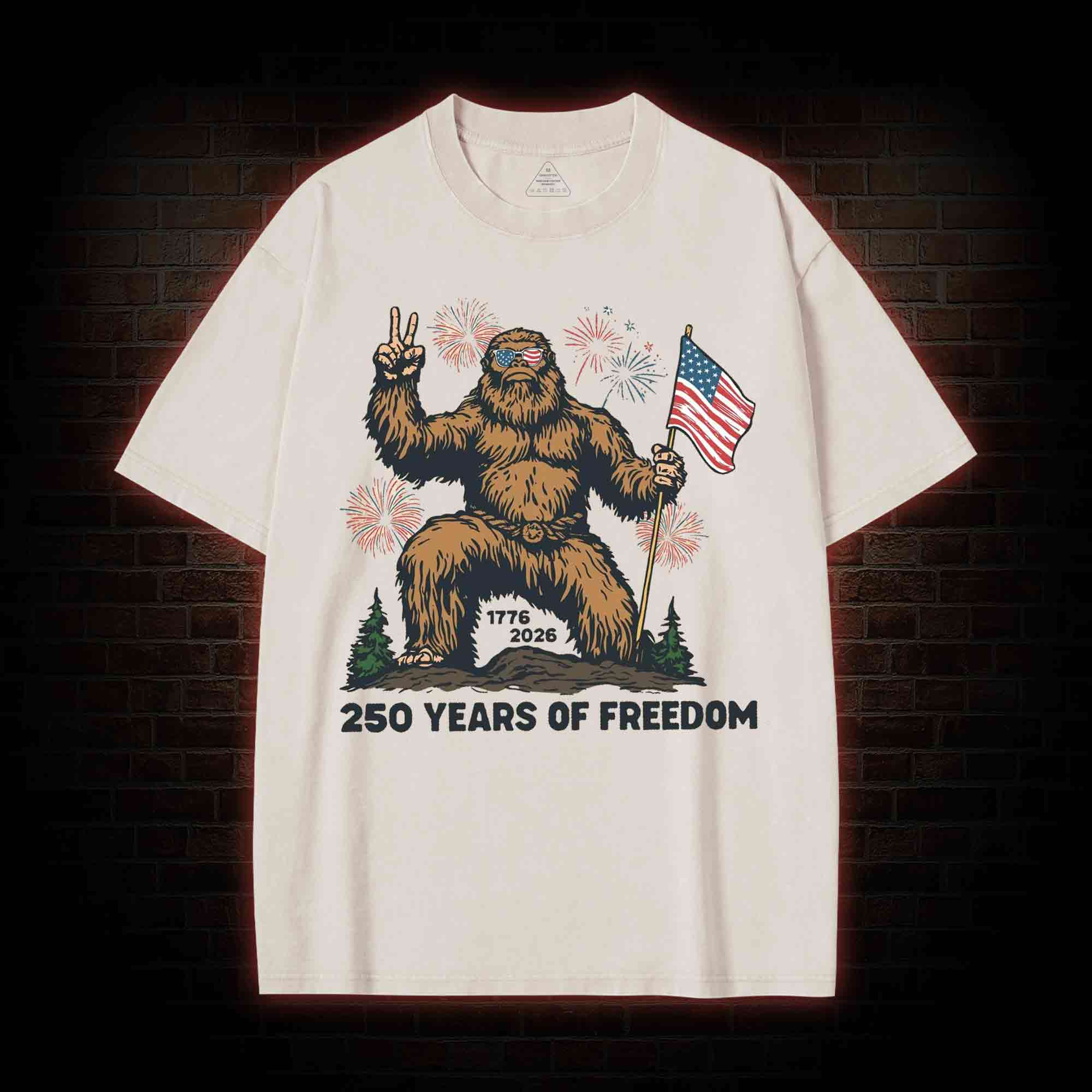 250 Years of Freedom Washed T-shirt