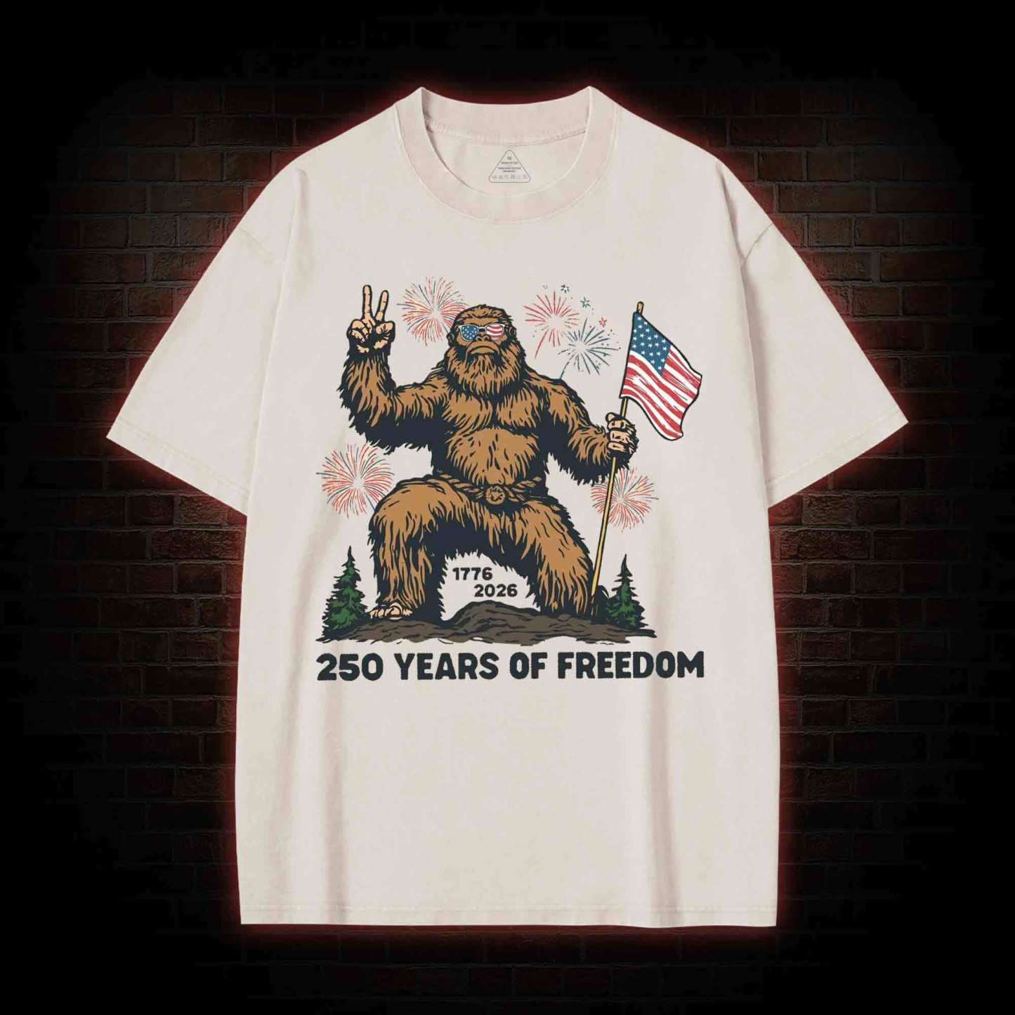 250 Years of Freedom Washed T-shirt