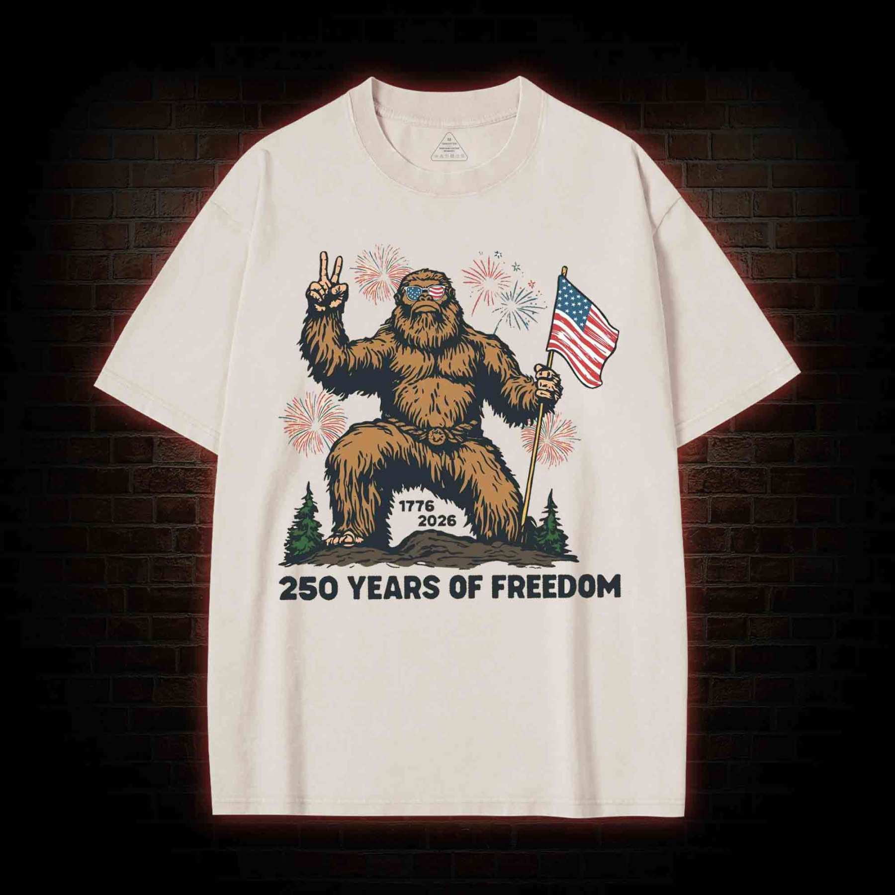 250 Years of Freedom Washed T-shirt