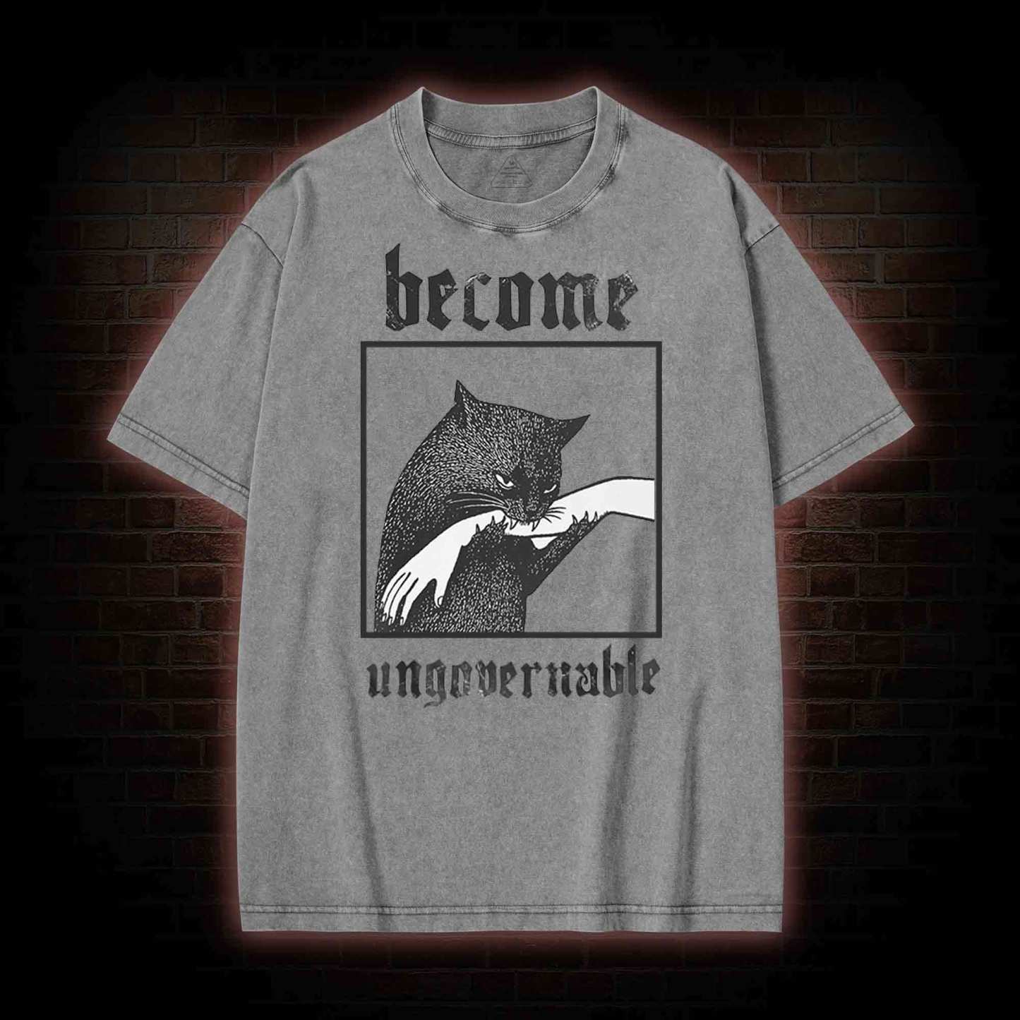 Silly Cats Washed T-shirt