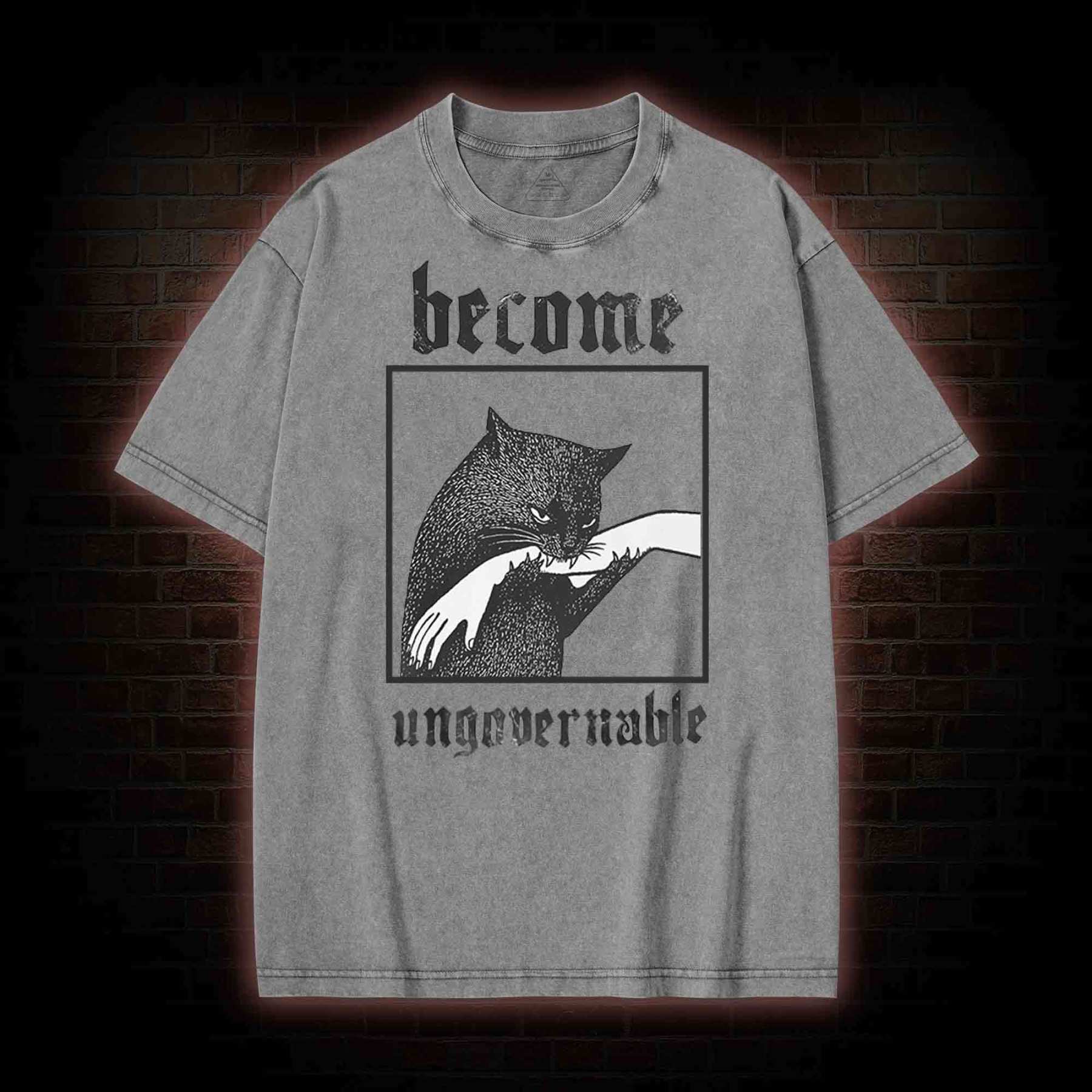 Silly Cats Washed T-shirt