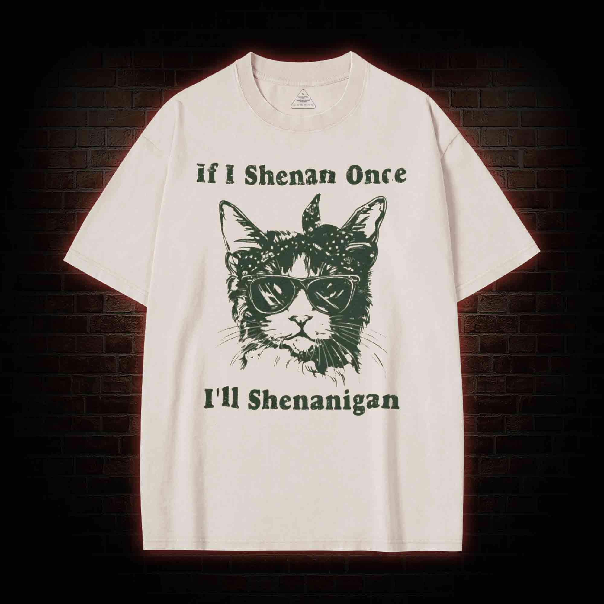 If I Shenan Once I'll Shenanigan Washed T-shirt