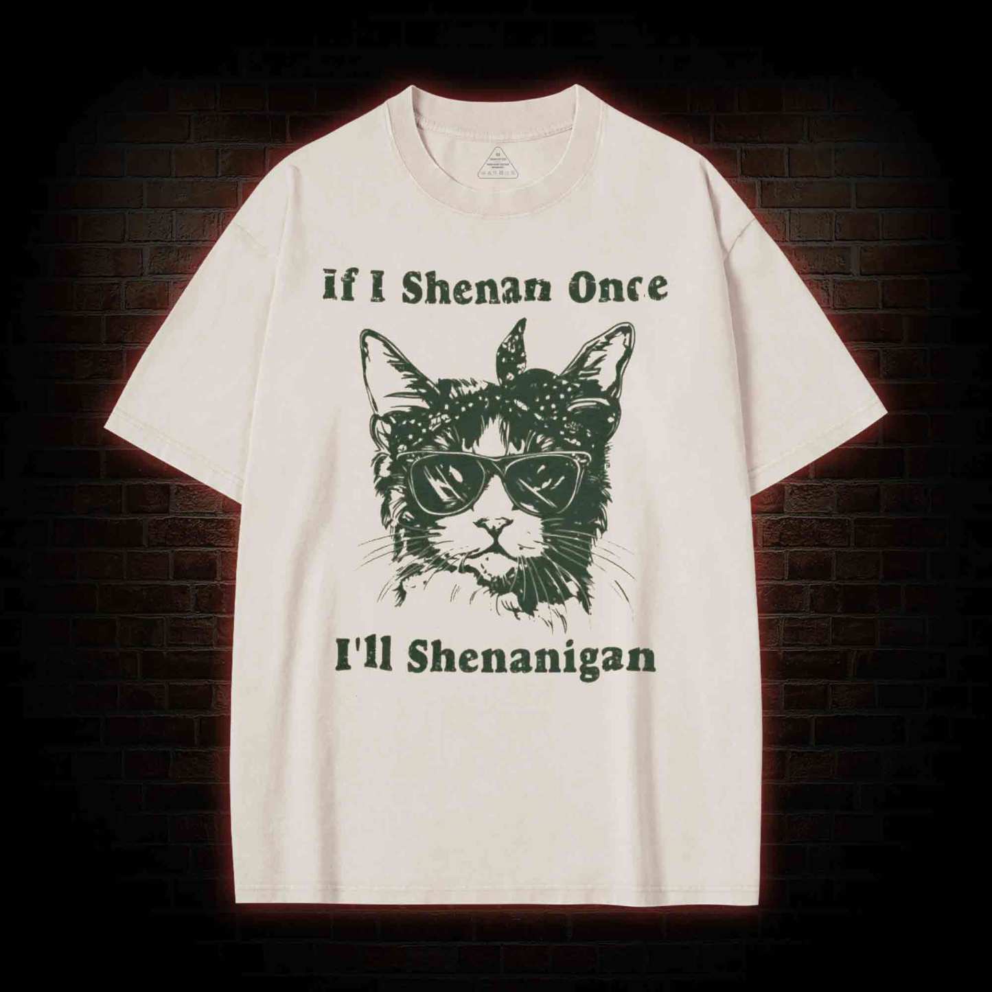 If I Shenan Once I'll Shenanigan Washed T-shirt