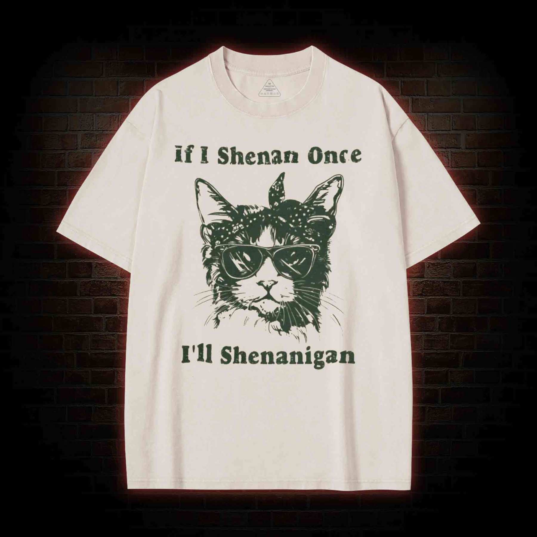 If I Shenan Once I'll Shenanigan Washed T-shirt