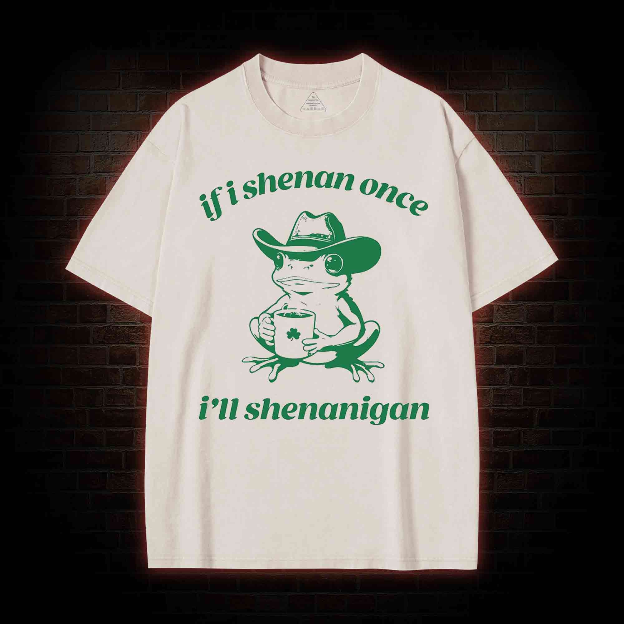 If I Shenan Once I'll Shenanigan Washed T-shirt