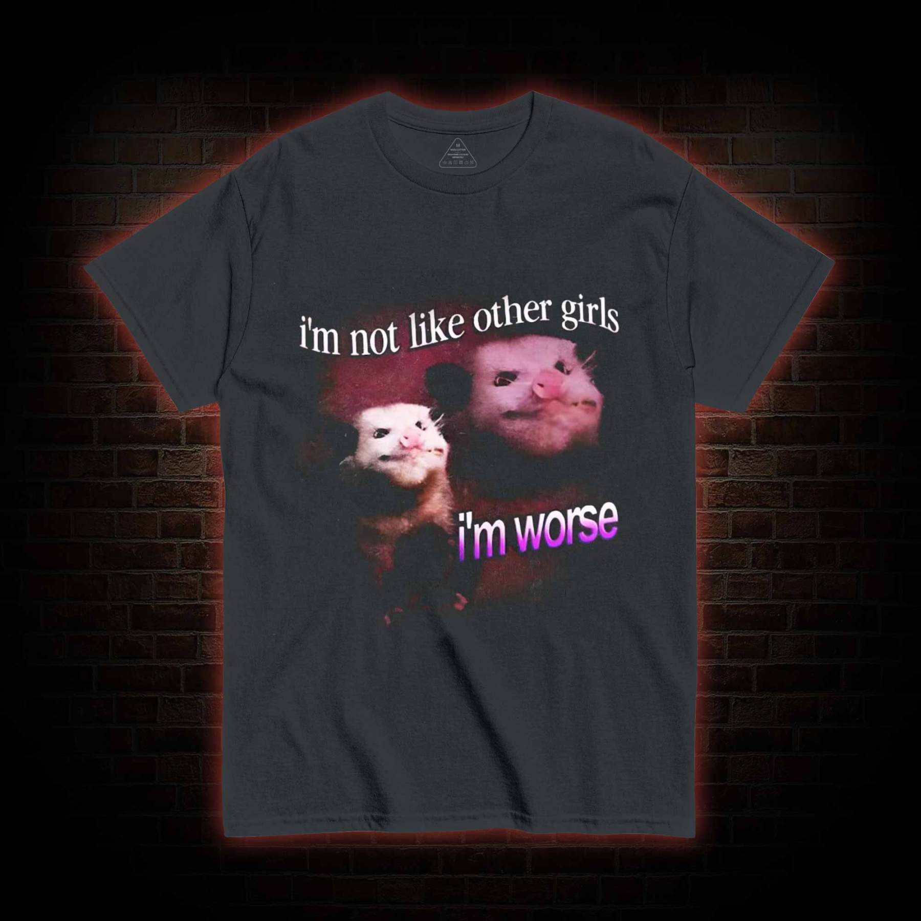 I'm Not Like Other Girls I'm Worse T-shirt