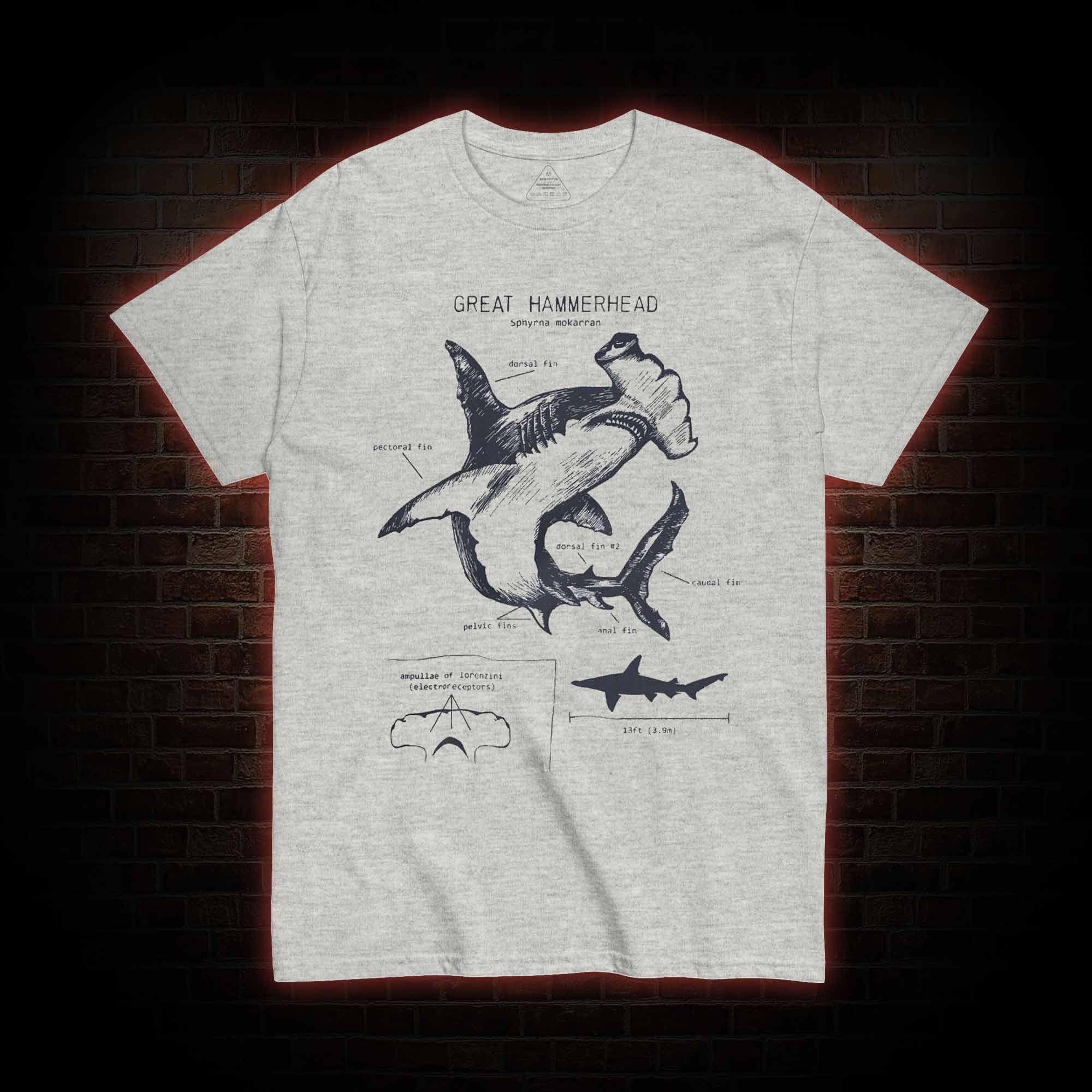 Great Hammerhead Anatomy T-Shirt