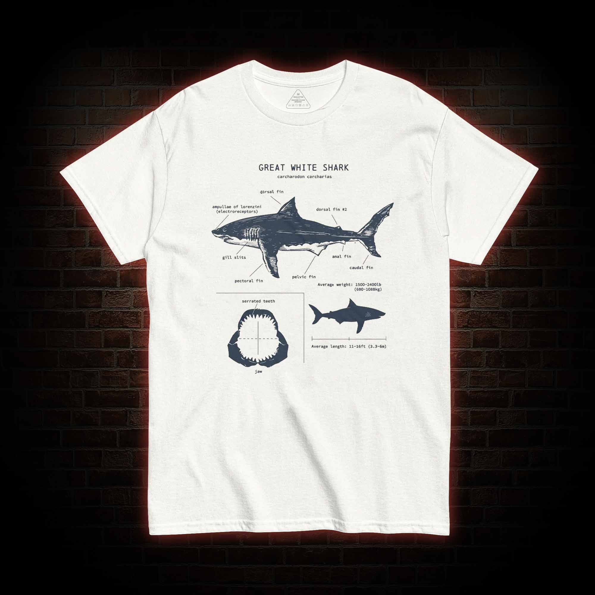 Great White Shark Biology T-Shirt 