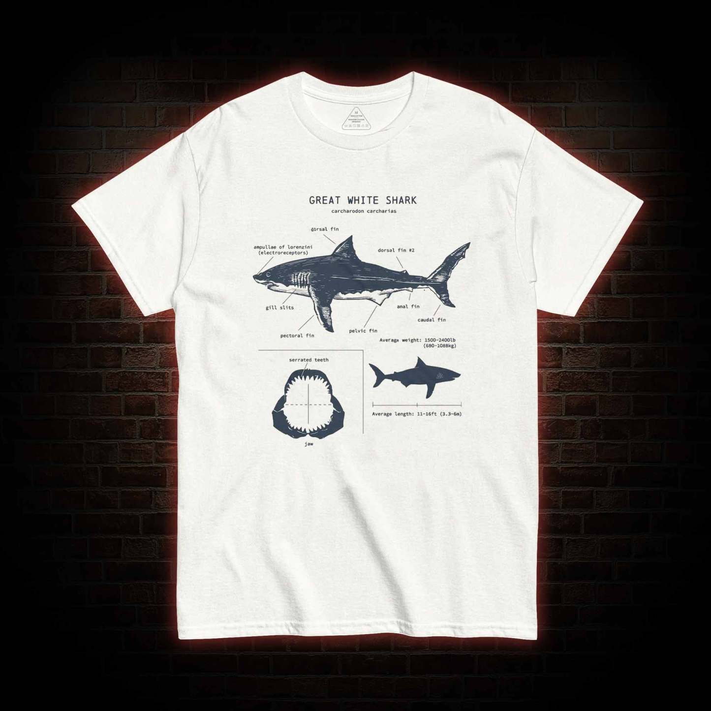 Great White Shark Biology T-Shirt 