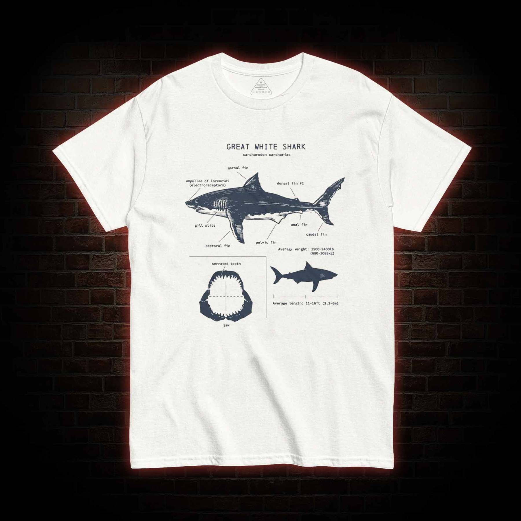 Great White Shark Biology T-Shirt 