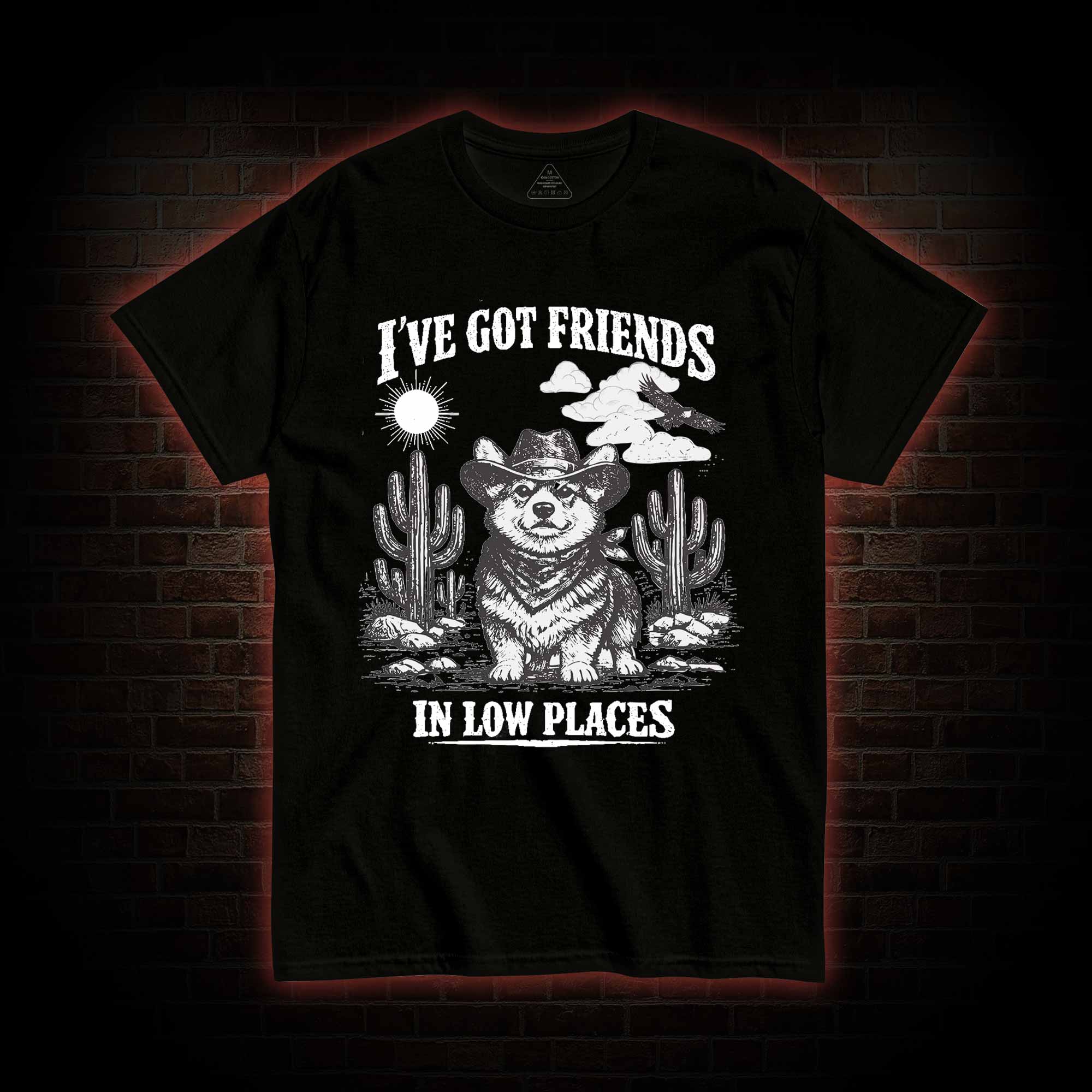 I've Got Friends in Low Places T-shirt