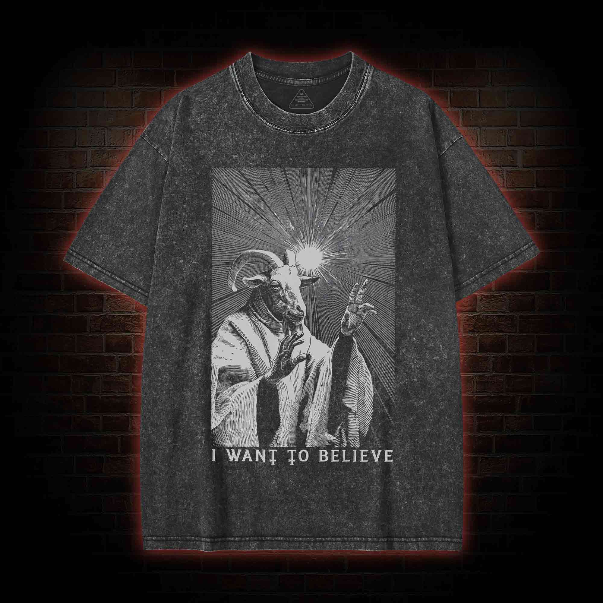 I Want to Believe Goat Washed T-shirt