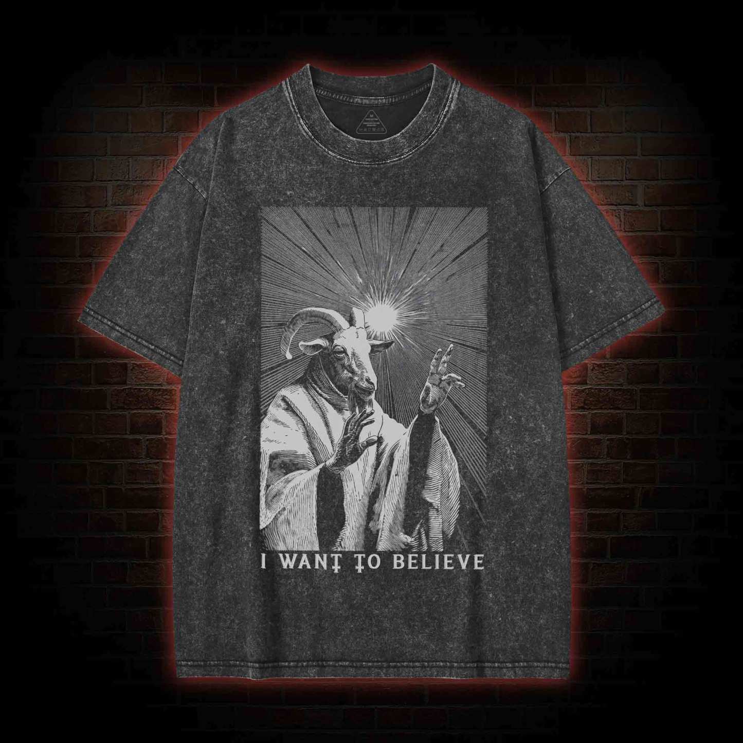 I Want to Believe Goat Washed T-shirt